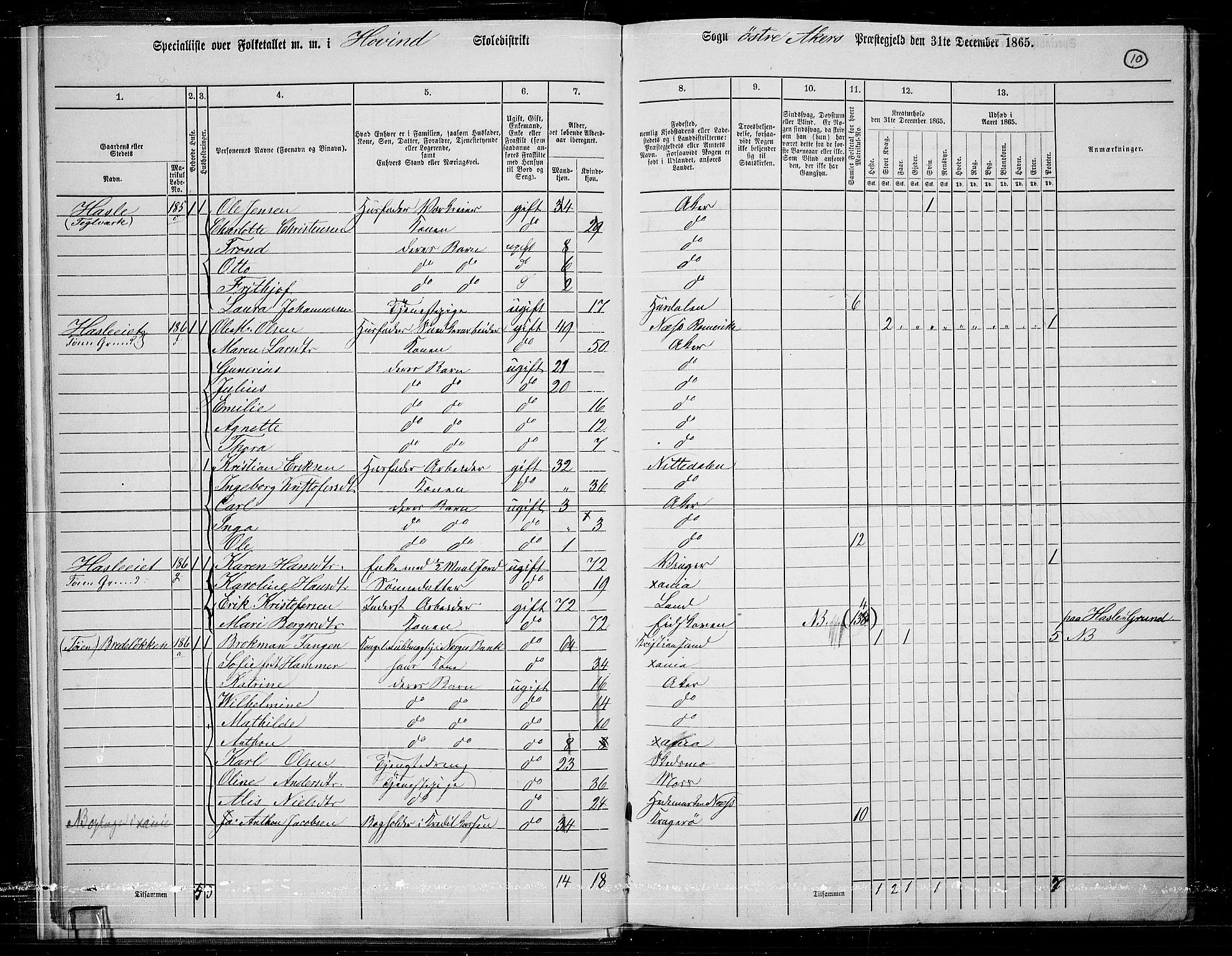 RA, 1865 census for Østre Aker, 1865, p. 234