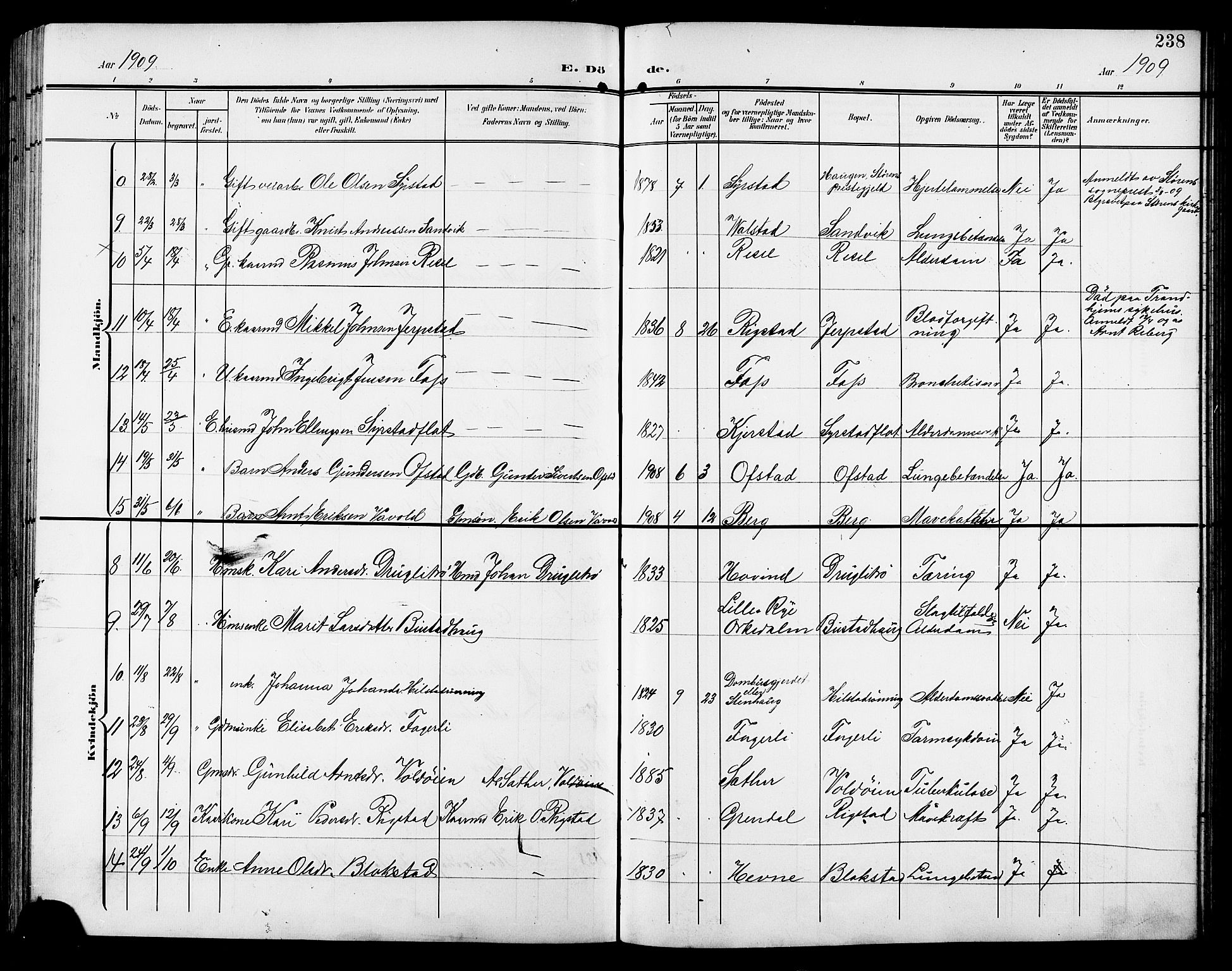 Ministerialprotokoller, klokkerbøker og fødselsregistre - Sør-Trøndelag, SAT/A-1456/672/L0864: Parish register (copy) no. 672C03, 1902-1914, p. 238