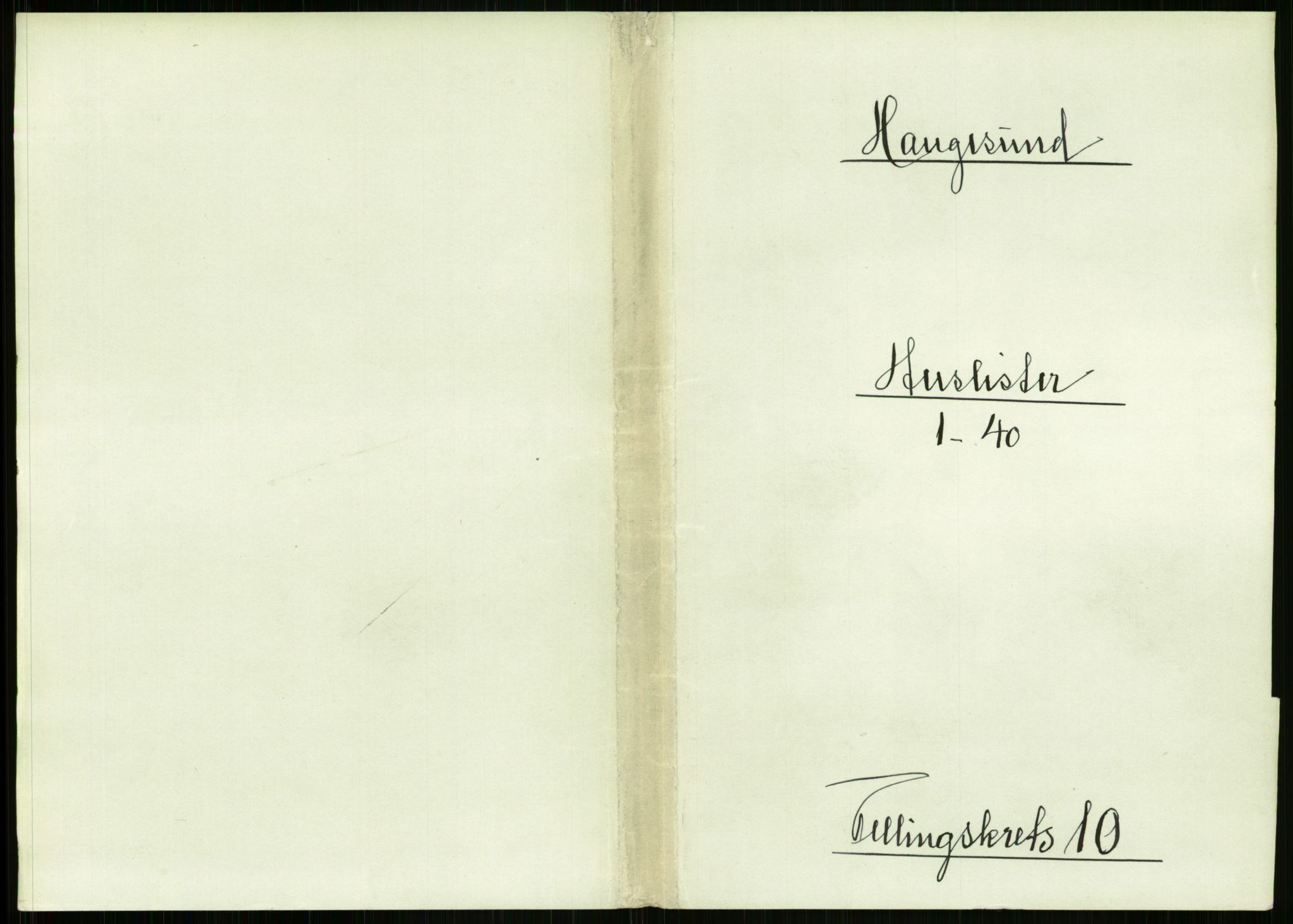 RA, 1891 census for 1106 Haugesund, 1891, p. 681