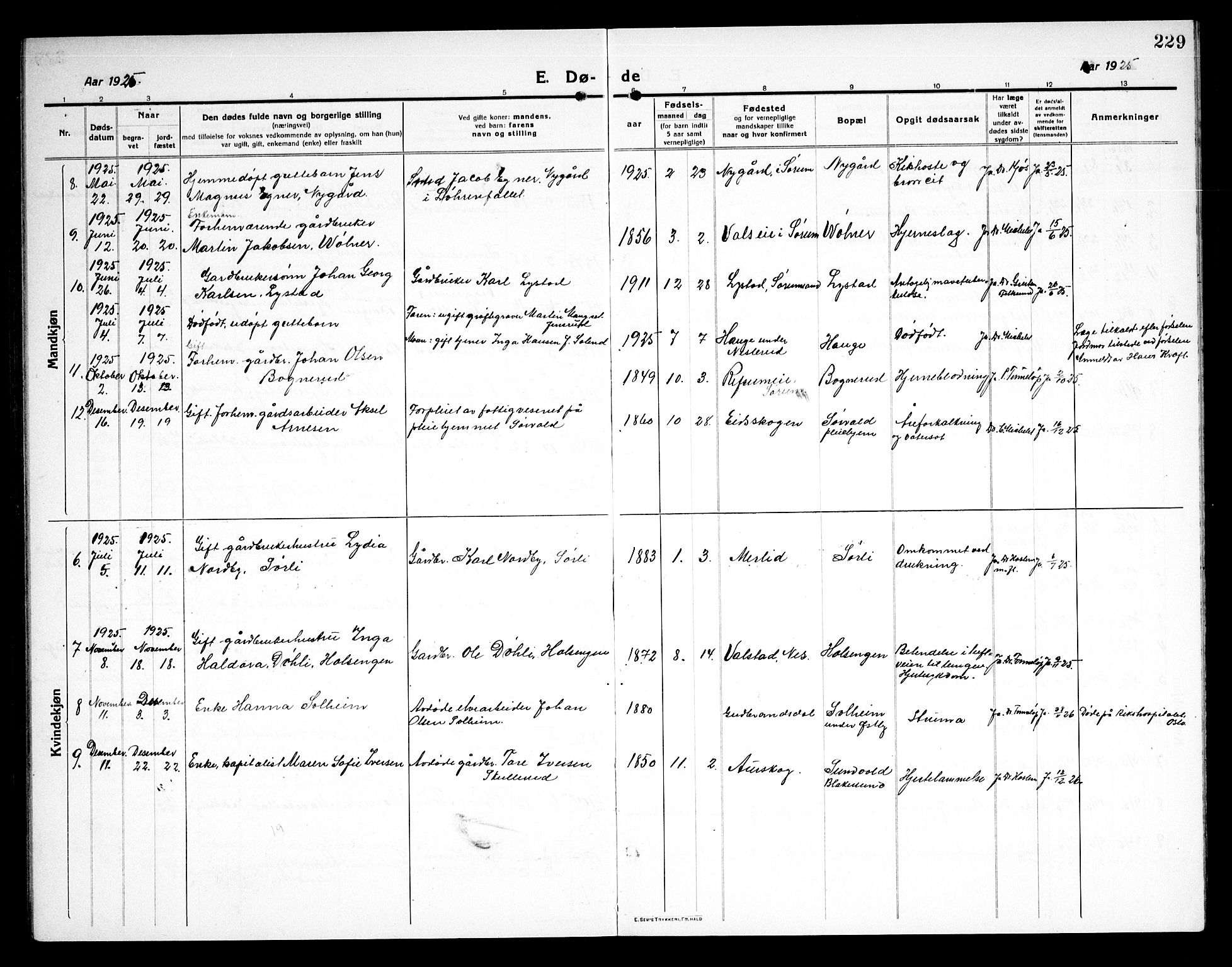 Sørum prestekontor Kirkebøker, SAO/A-10303/G/Ga/L0008: Parish register (copy) no. I 8, 1917-1934, p. 229