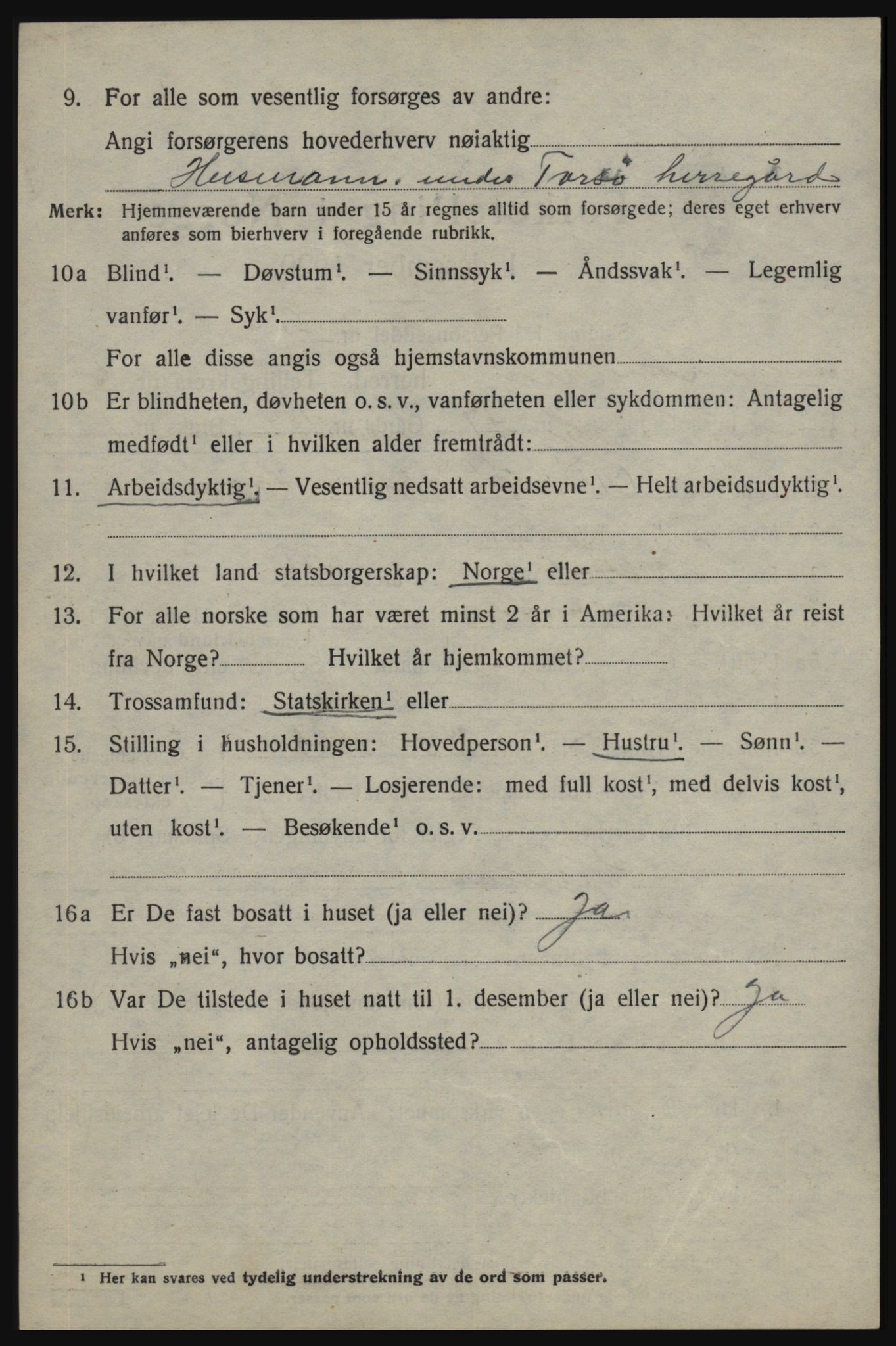 SAO, 1920 census for Skjeberg, 1920, p. 6592