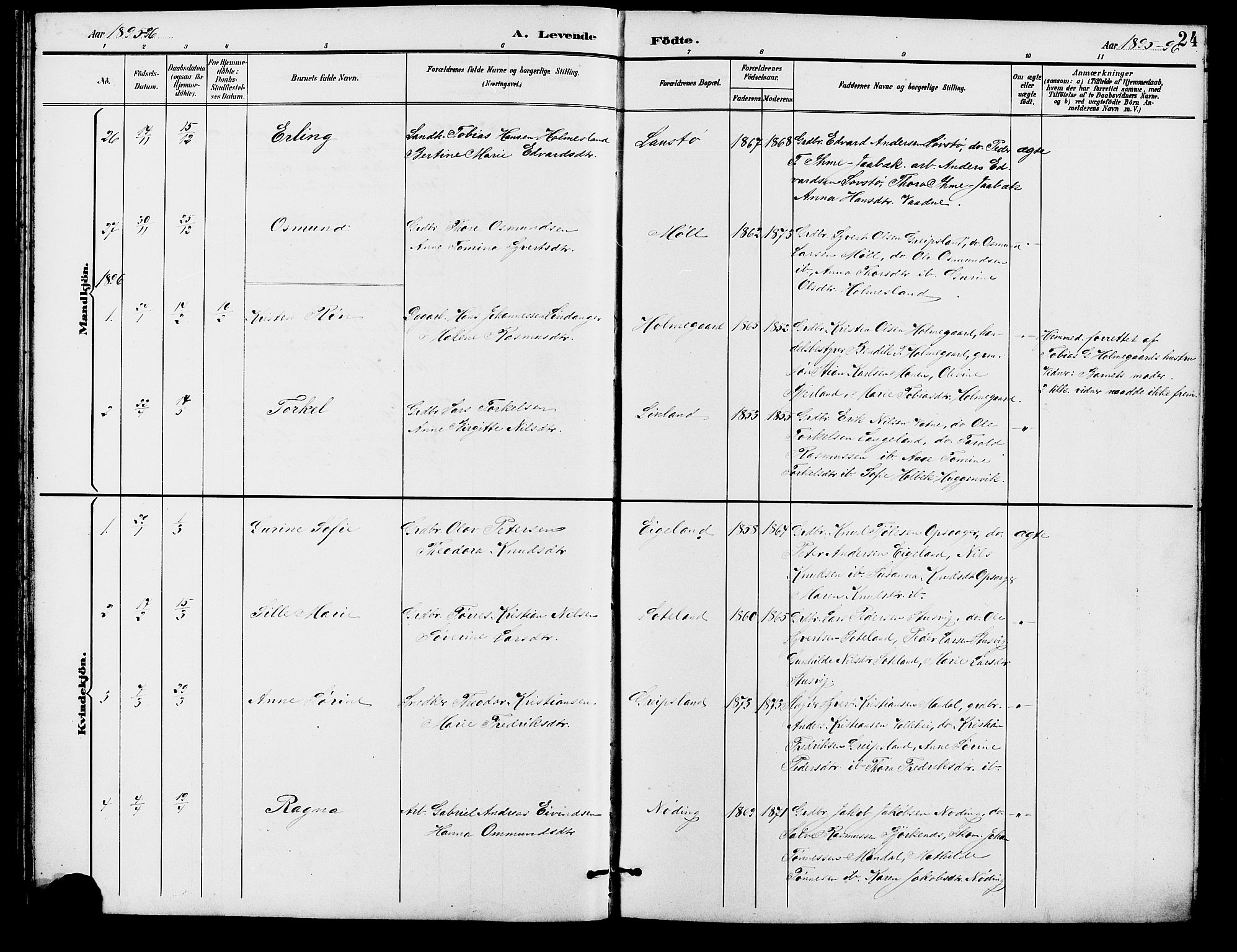 Holum sokneprestkontor, SAK/1111-0022/F/Fb/Fba/L0005: Parish register (copy) no. B 5, 1891-1909, p. 24