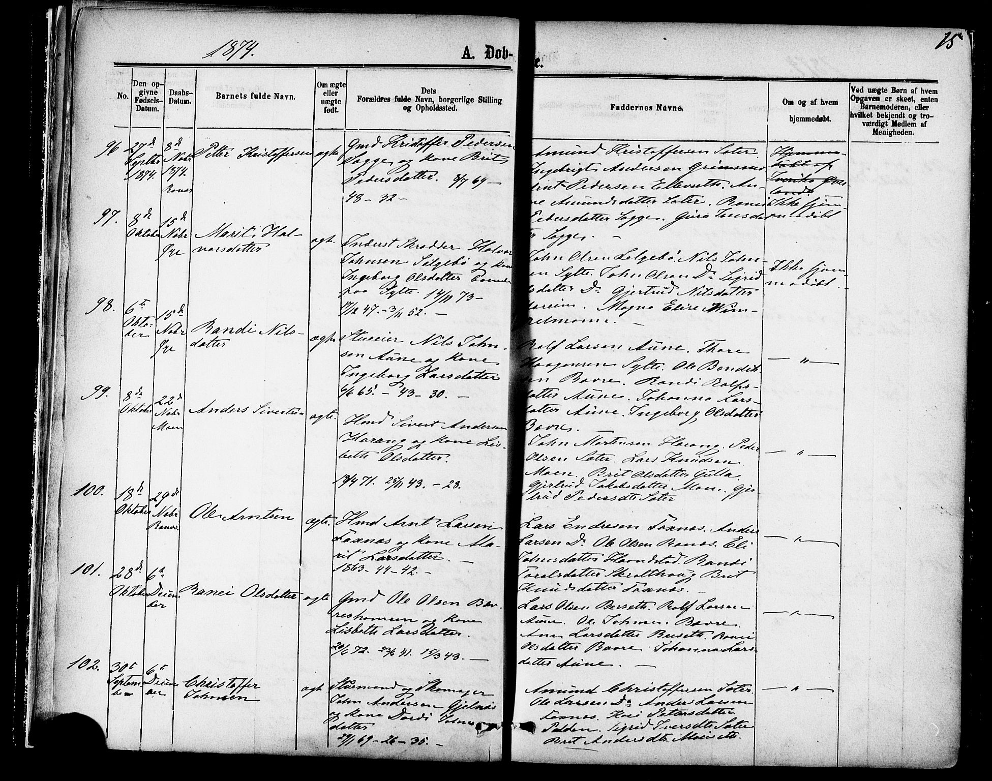 Ministerialprotokoller, klokkerbøker og fødselsregistre - Møre og Romsdal, AV/SAT-A-1454/595/L1046: Parish register (official) no. 595A08, 1874-1884, p. 15