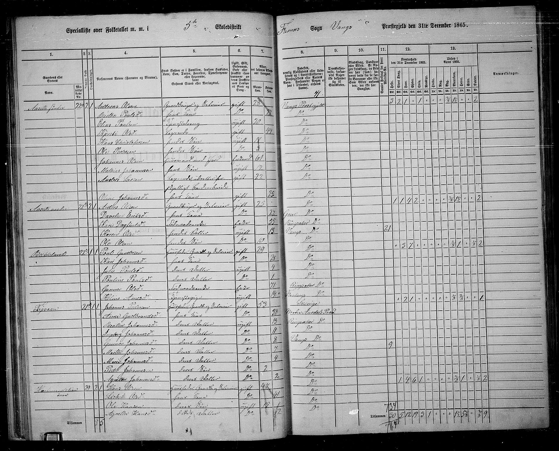 RA, 1865 census for Vang/Vang og Furnes, 1865, p. 41