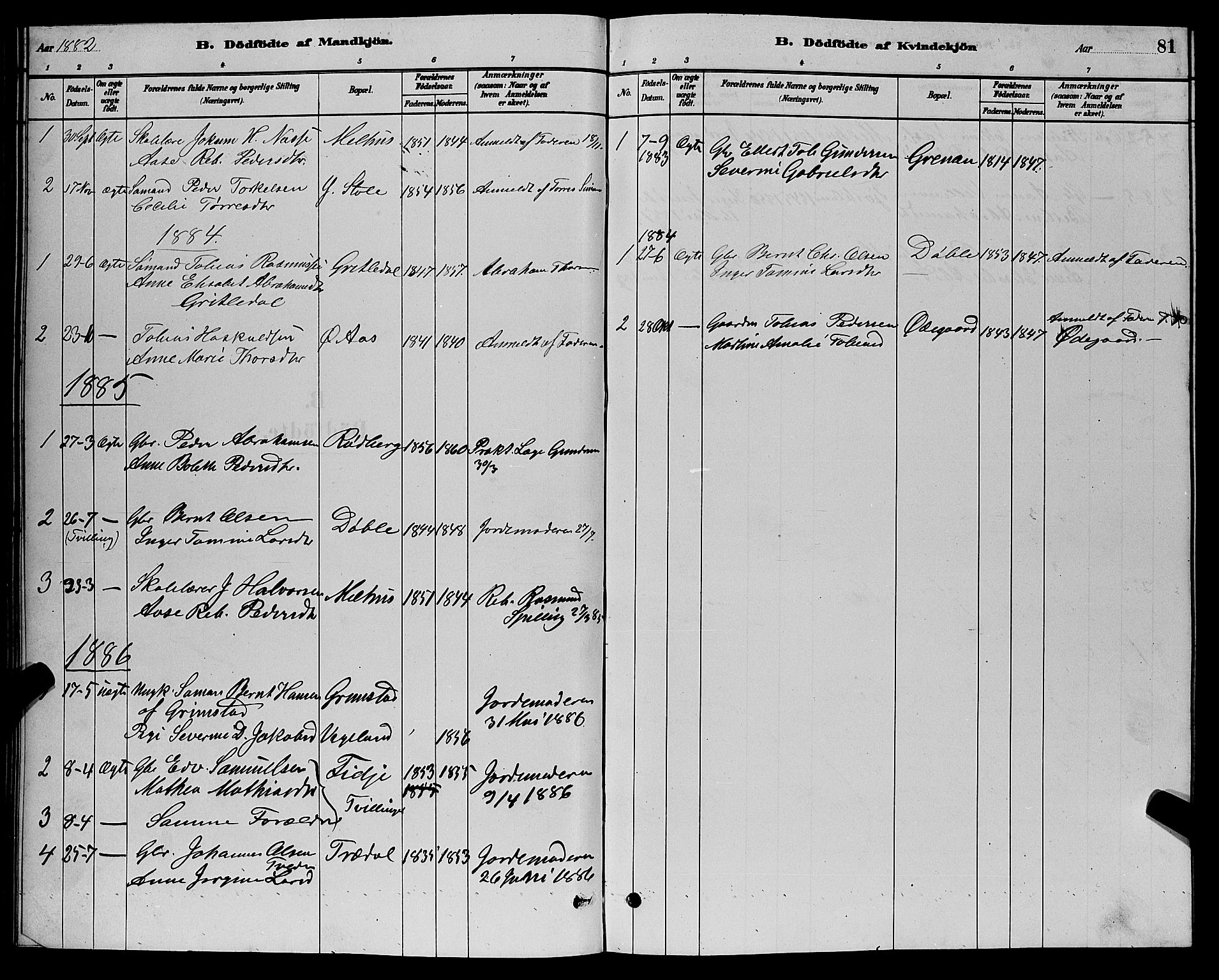 Sør-Audnedal sokneprestkontor, AV/SAK-1111-0039/F/Fb/Fbb/L0005: Parish register (copy) no. B 5, 1880-1892, p. 81