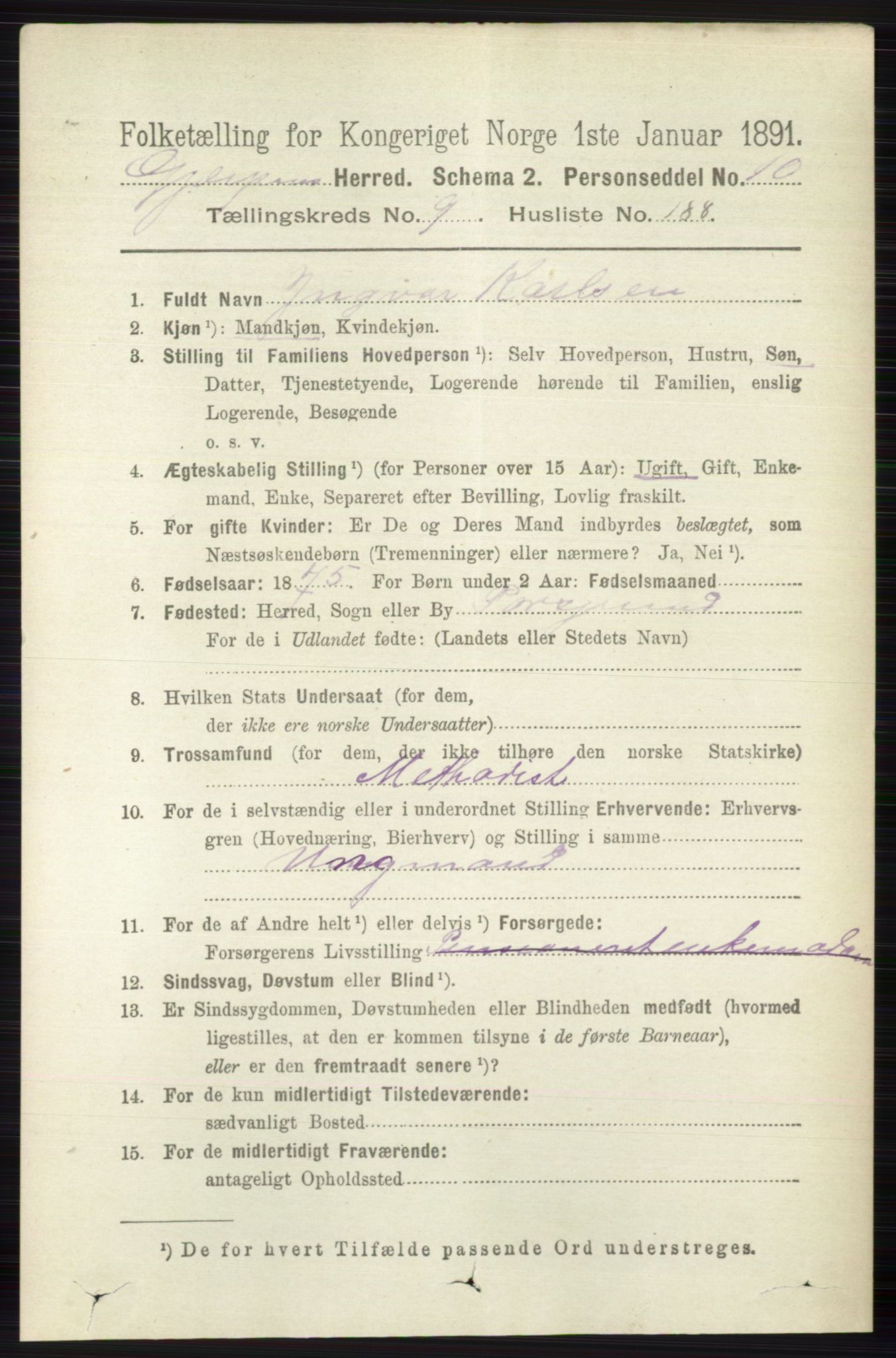 RA, 1891 census for 0812 Gjerpen, 1891, p. 6060