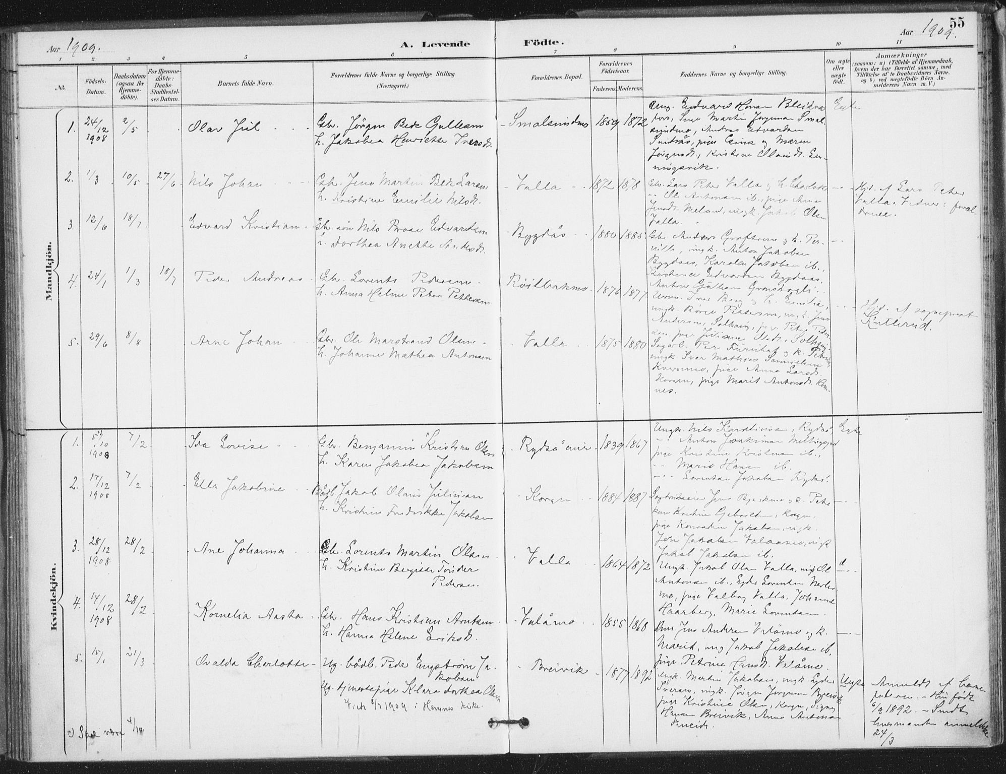 Ministerialprotokoller, klokkerbøker og fødselsregistre - Nordland, SAT/A-1459/826/L0380: Parish register (official) no. 826A03, 1891-1911, p. 55