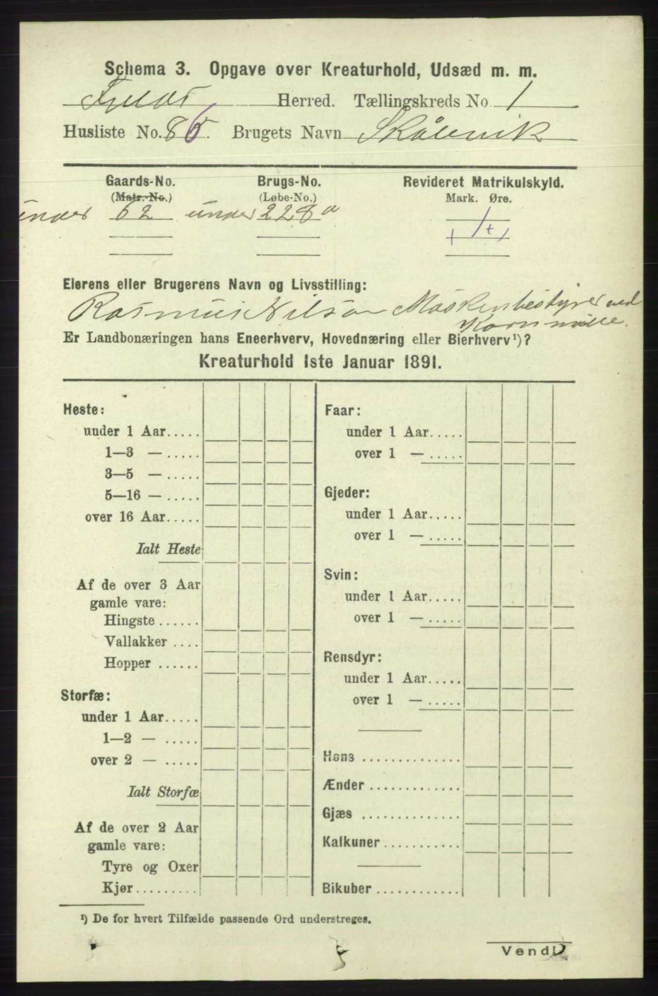 RA, 1891 census for 1246 Fjell, 1891, p. 4011