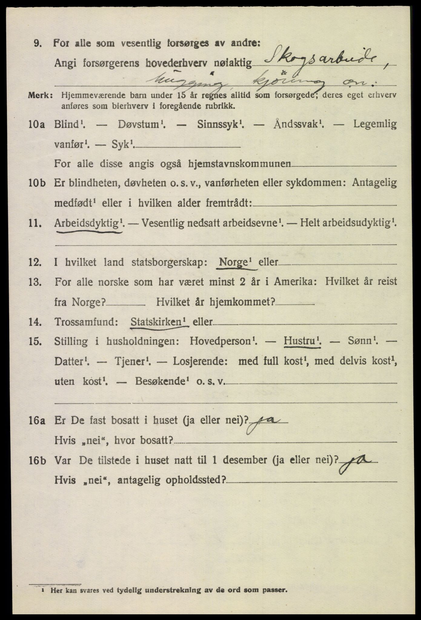 SAH, 1920 census for Grue, 1920, p. 13294