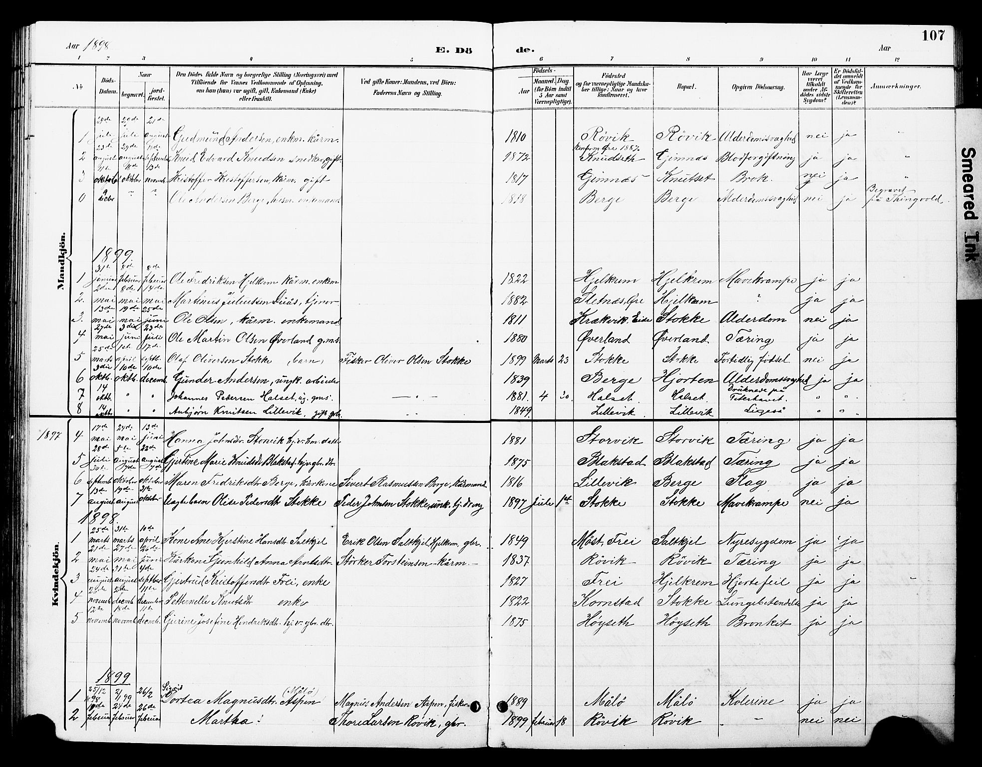 Ministerialprotokoller, klokkerbøker og fødselsregistre - Møre og Romsdal, AV/SAT-A-1454/585/L0973: Parish register (copy) no. 585C01, 1893-1930, p. 107