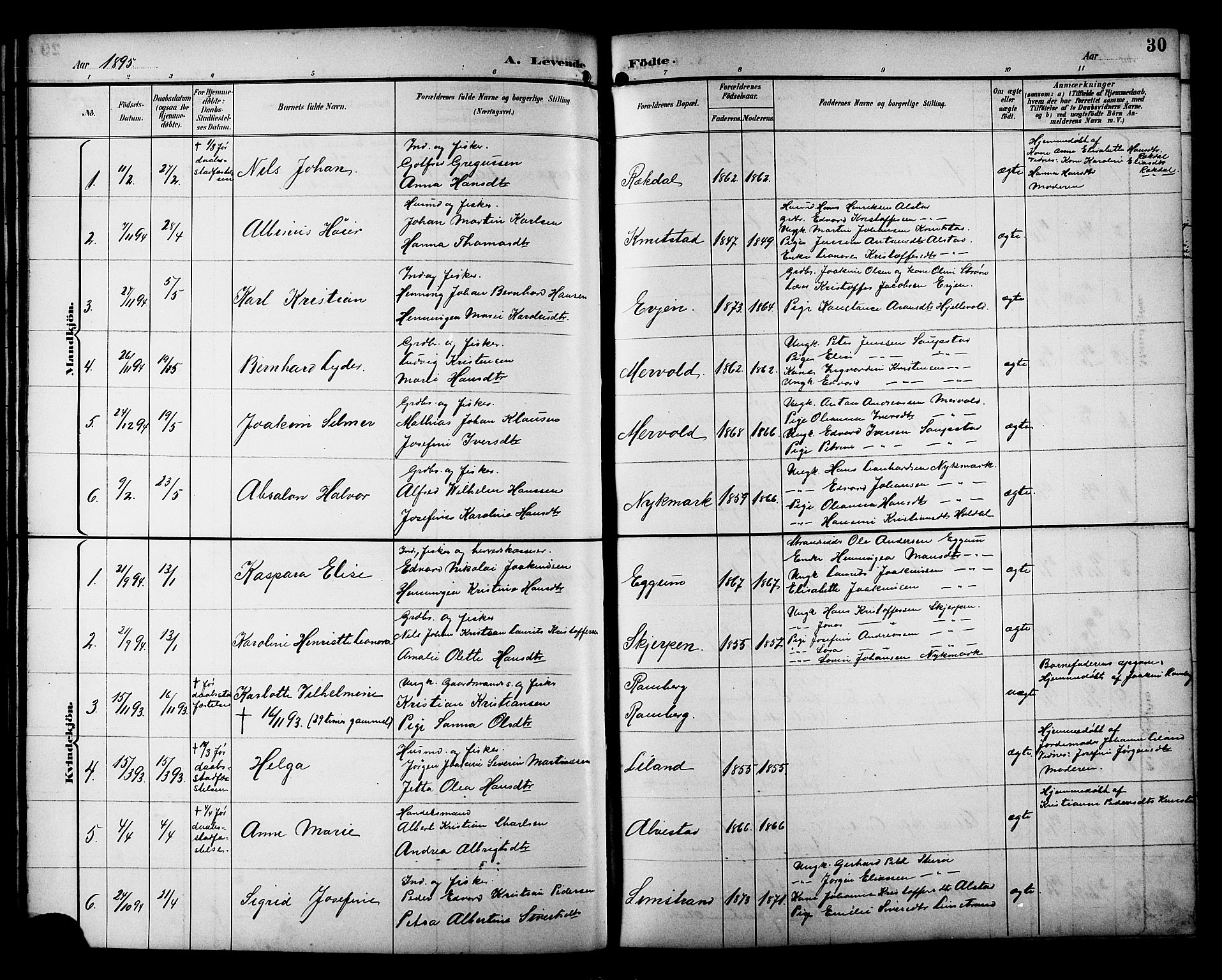 Ministerialprotokoller, klokkerbøker og fødselsregistre - Nordland, AV/SAT-A-1459/880/L1141: Parish register (copy) no. 880C03, 1893-1928, p. 30