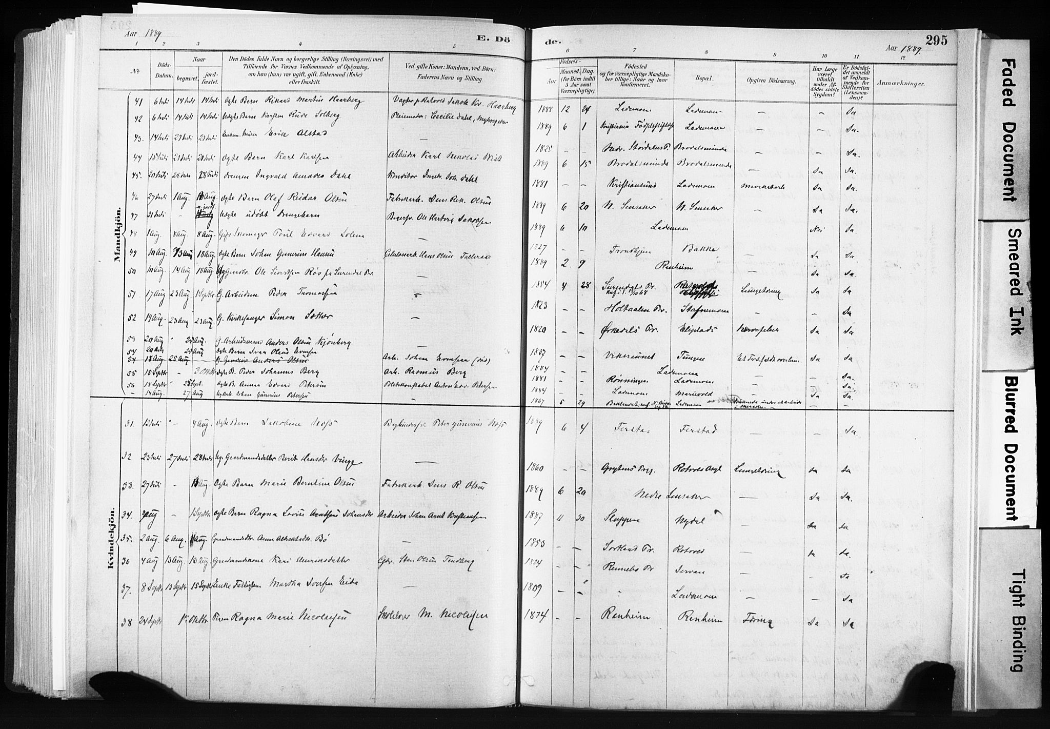 Ministerialprotokoller, klokkerbøker og fødselsregistre - Sør-Trøndelag, AV/SAT-A-1456/606/L0300: Parish register (official) no. 606A15, 1886-1893, p. 295