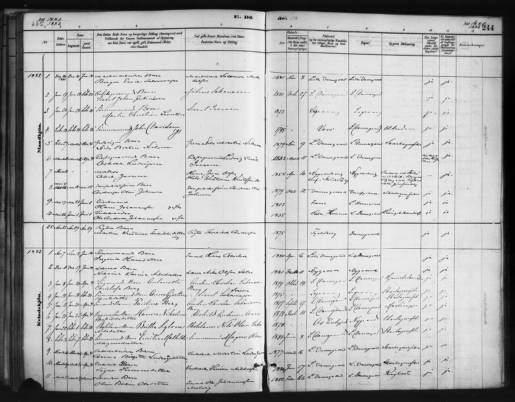 Askøy Sokneprestembete, AV/SAB-A-74101/H/Ha/Haa/Haae/L0002: Parish register (official) no. E 2, 1878-1891, p. 244