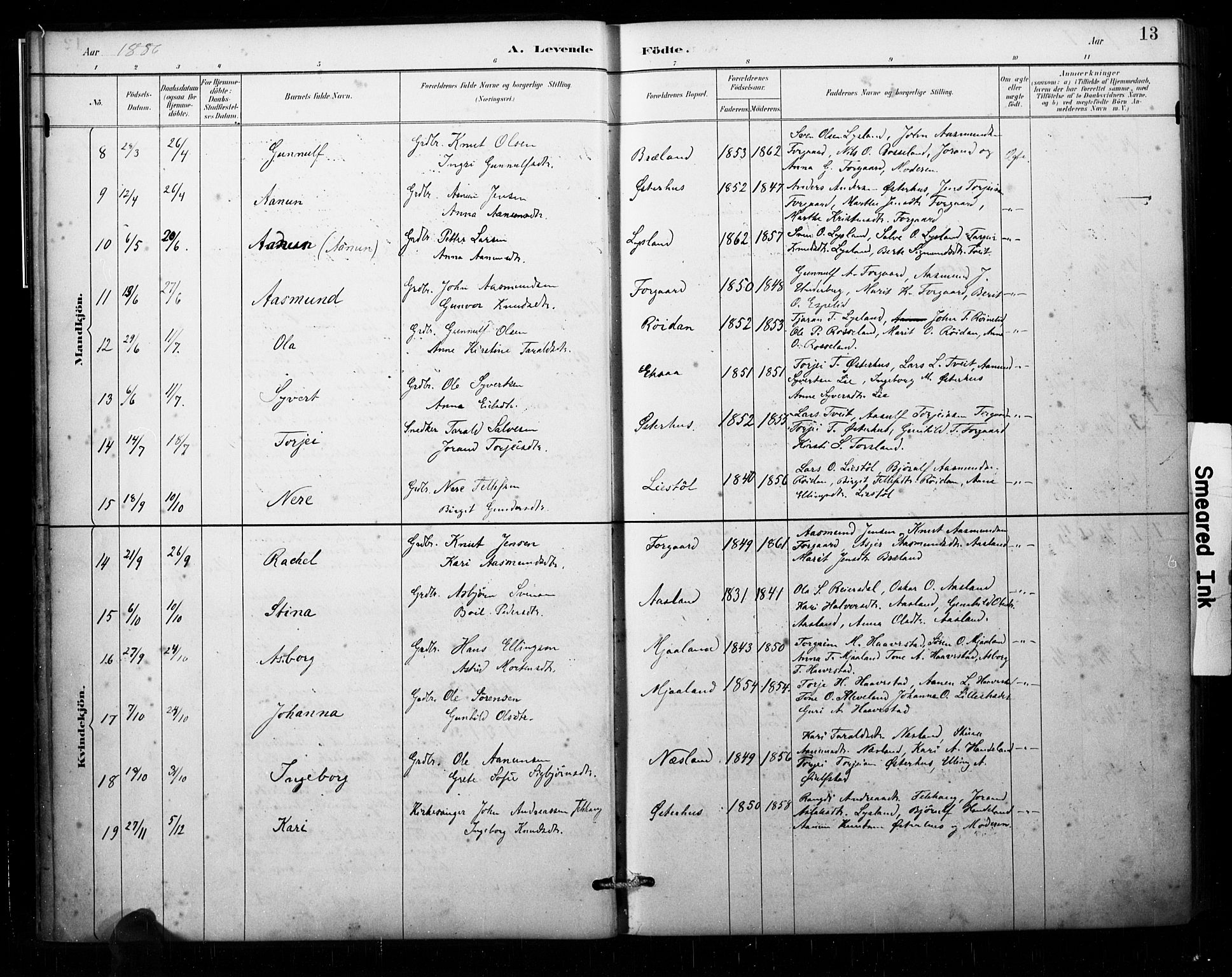 Åseral sokneprestkontor, AV/SAK-1111-0051/F/Fa/L0003: Parish register (official) no. A 3, 1884-1901, p. 13