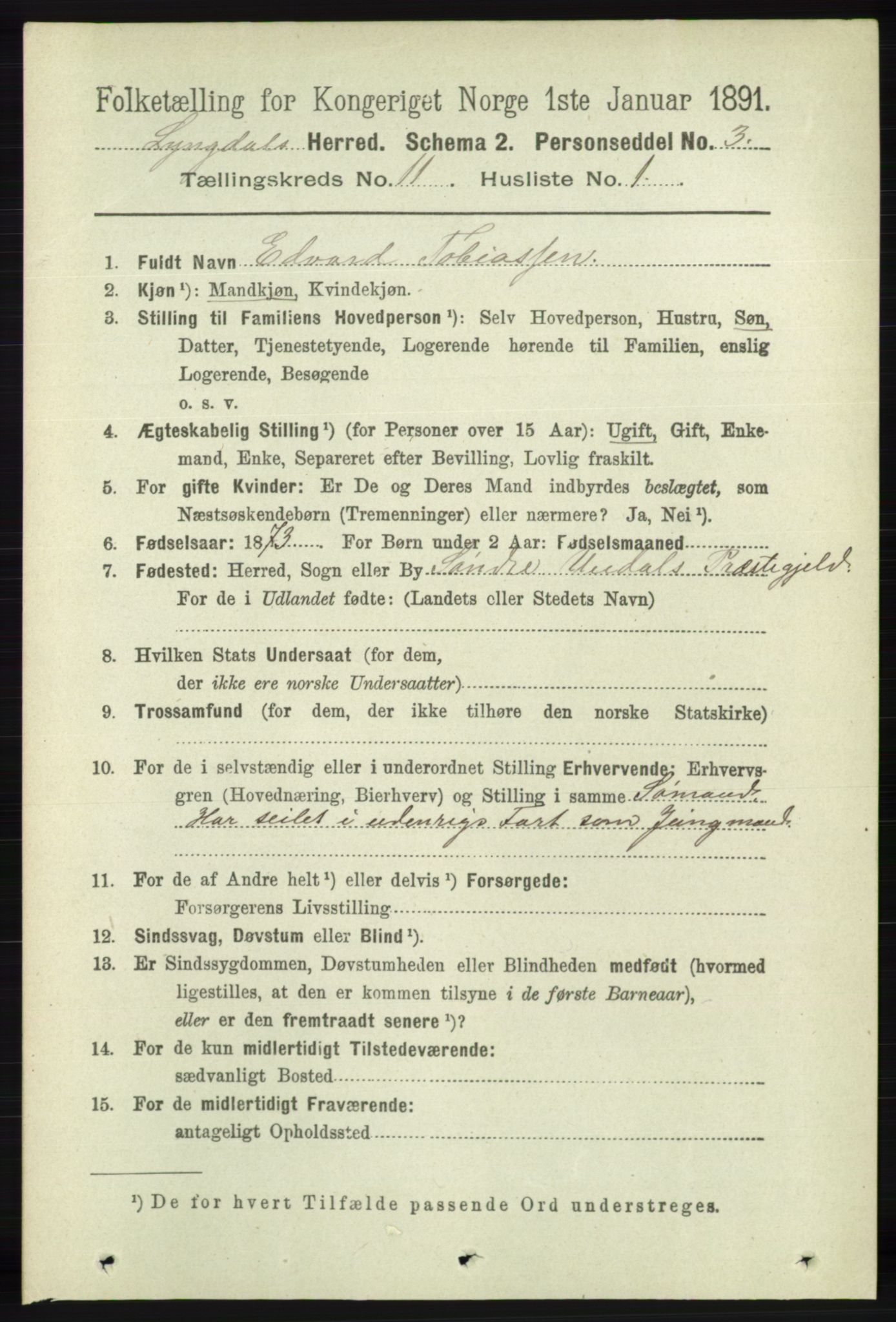 RA, 1891 census for 1032 Lyngdal, 1891, p. 4819