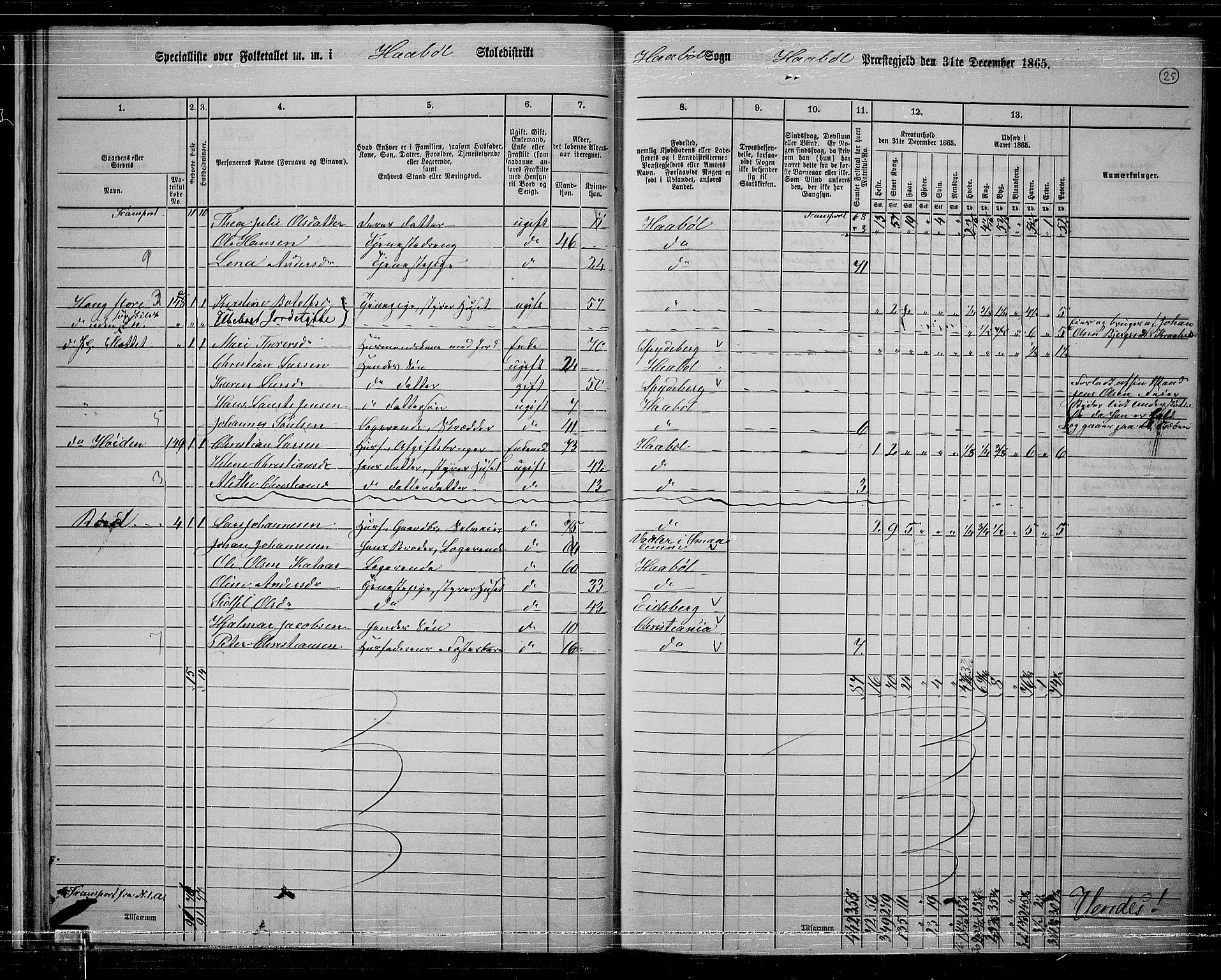 RA, 1865 census for Hobøl, 1865, p. 26