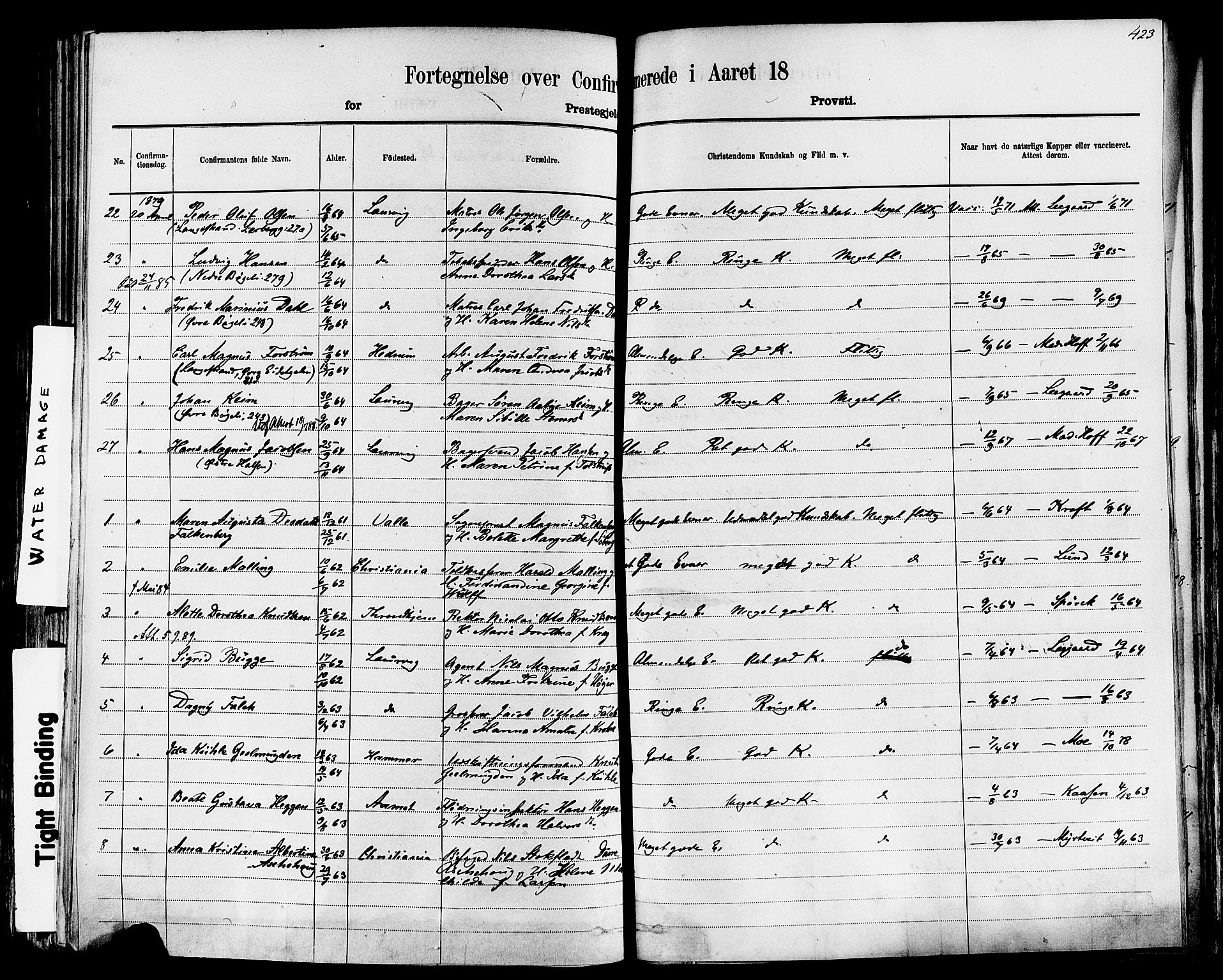 Larvik kirkebøker, AV/SAKO-A-352/F/Fa/L0006: Parish register (official) no. I 6, 1871-1883, p. 423