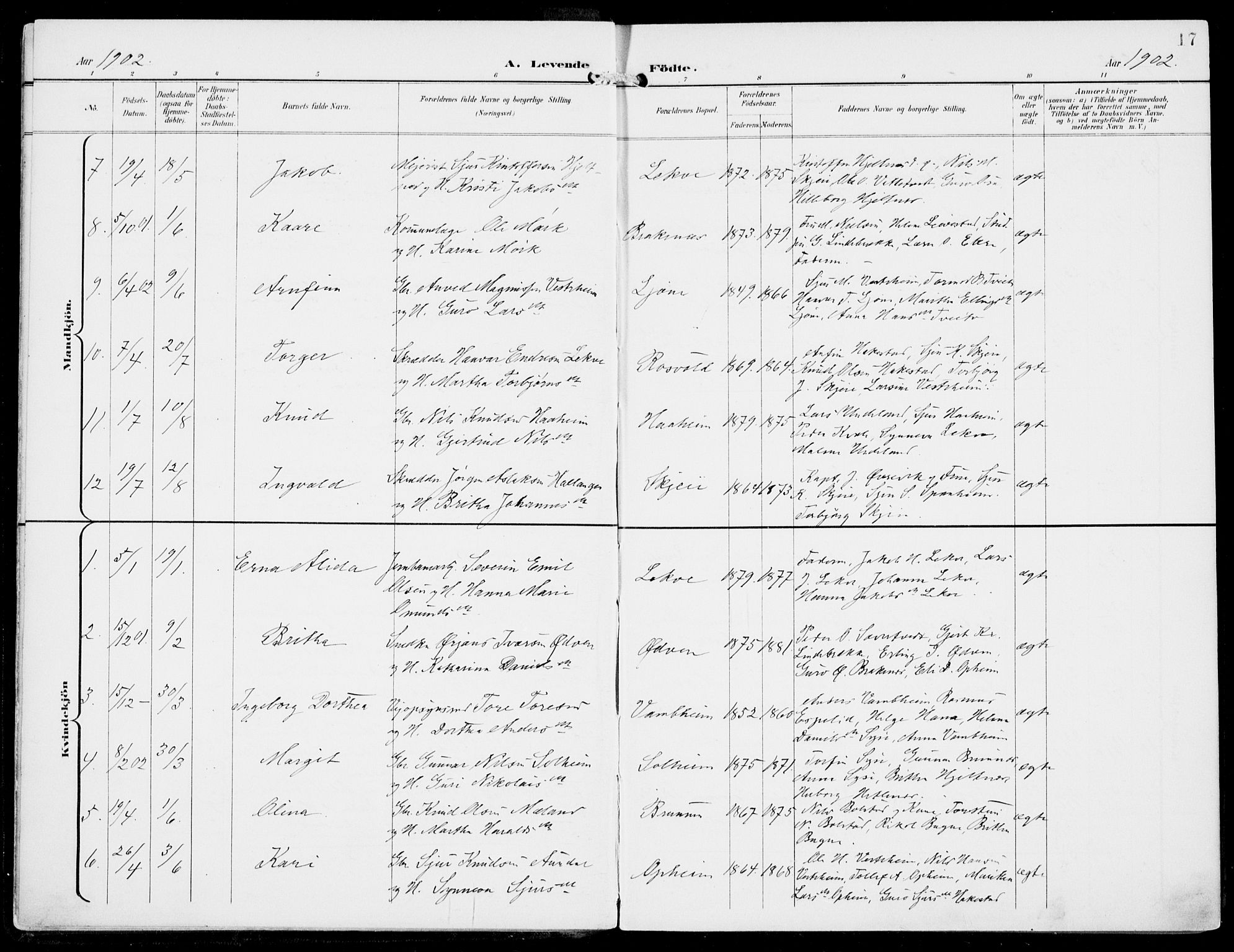 Ulvik sokneprestembete, AV/SAB-A-78801/H/Haa: Parish register (official) no. B  2, 1898-1924, p. 17