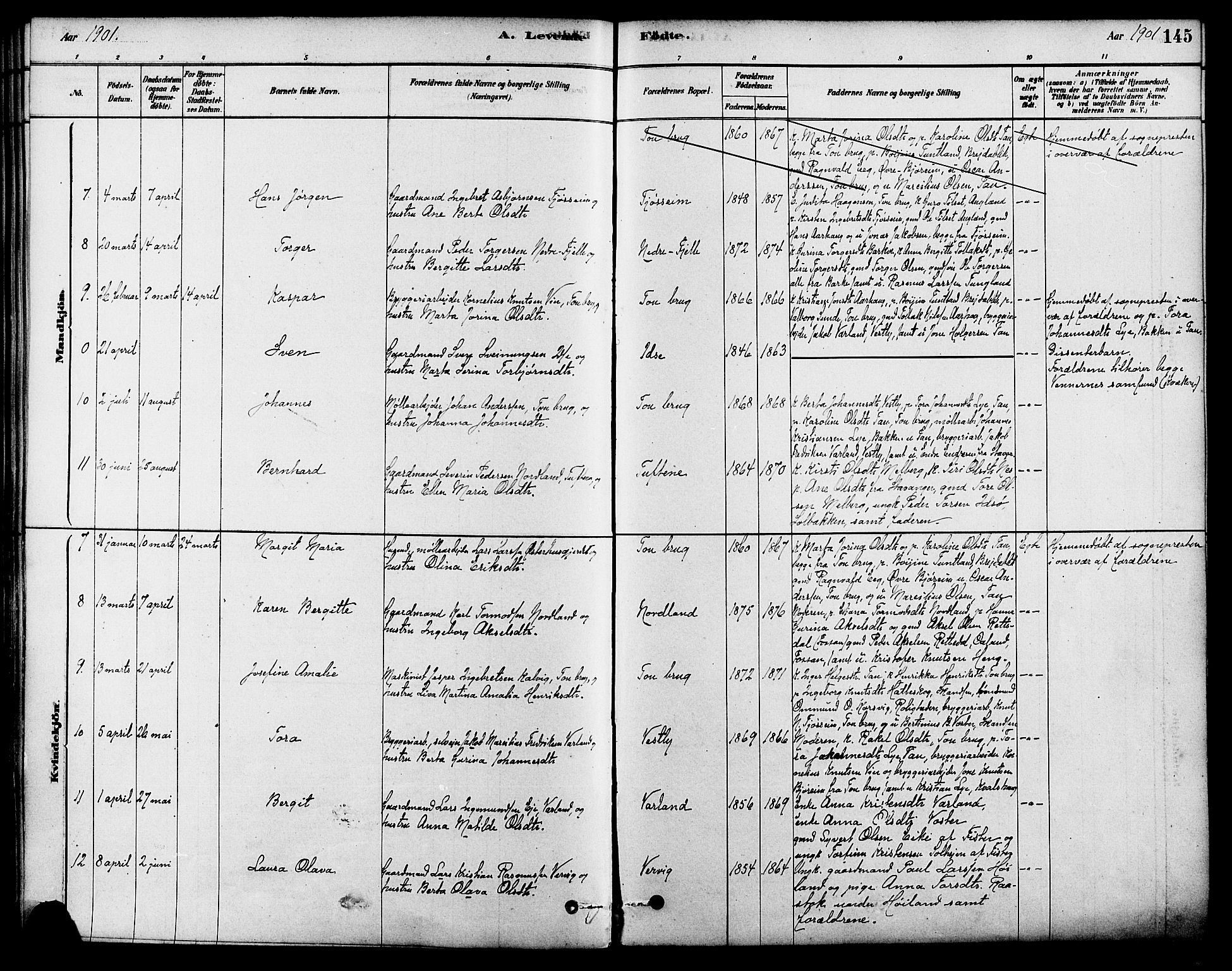 Strand sokneprestkontor, SAST/A-101828/H/Ha/Haa/L0009: Parish register (official) no. A 9, 1877-1908, p. 145