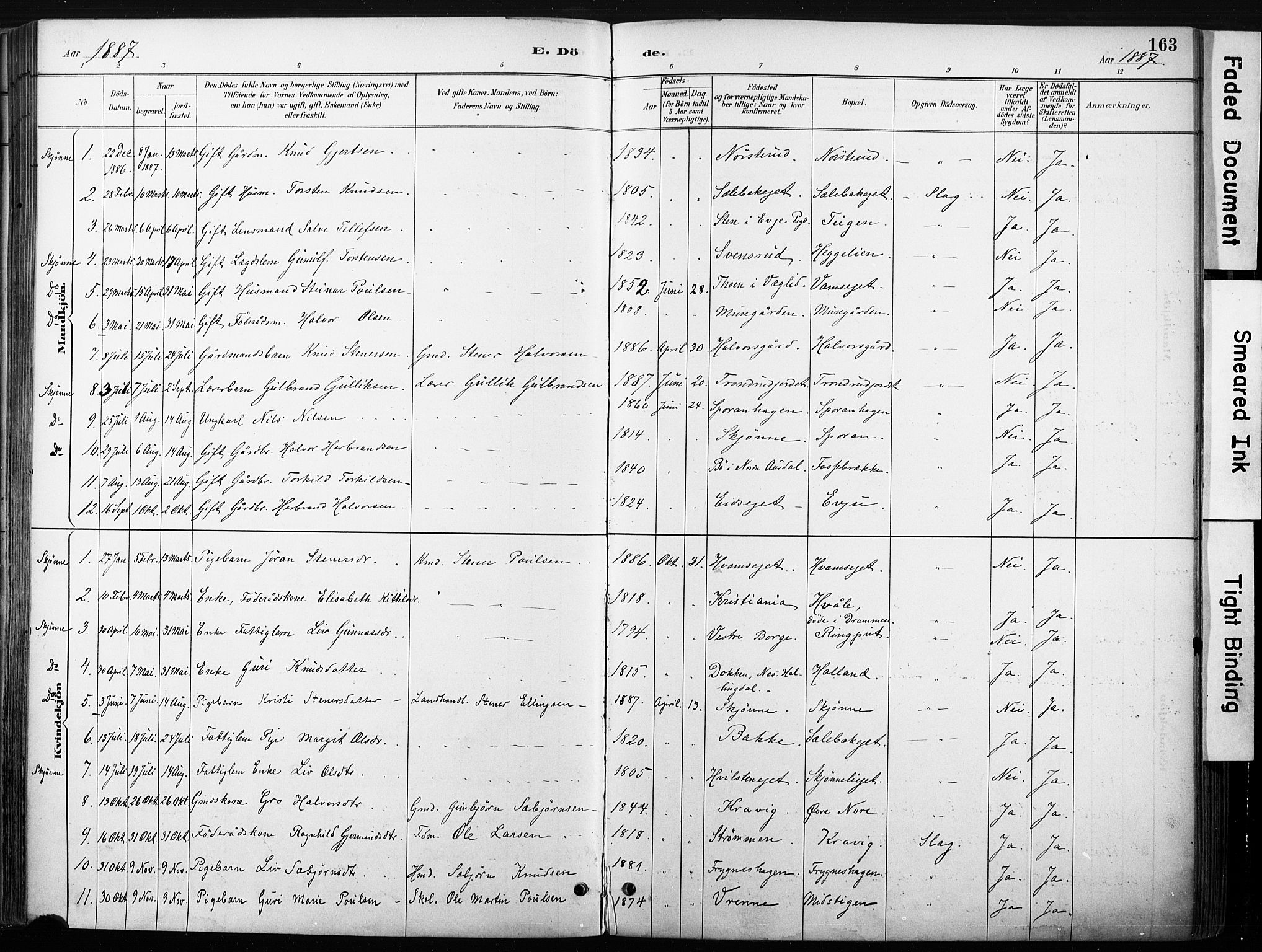 Nore kirkebøker, SAKO/A-238/F/Fb/L0002: Parish register (official) no. II 2, 1886-1906, p. 163