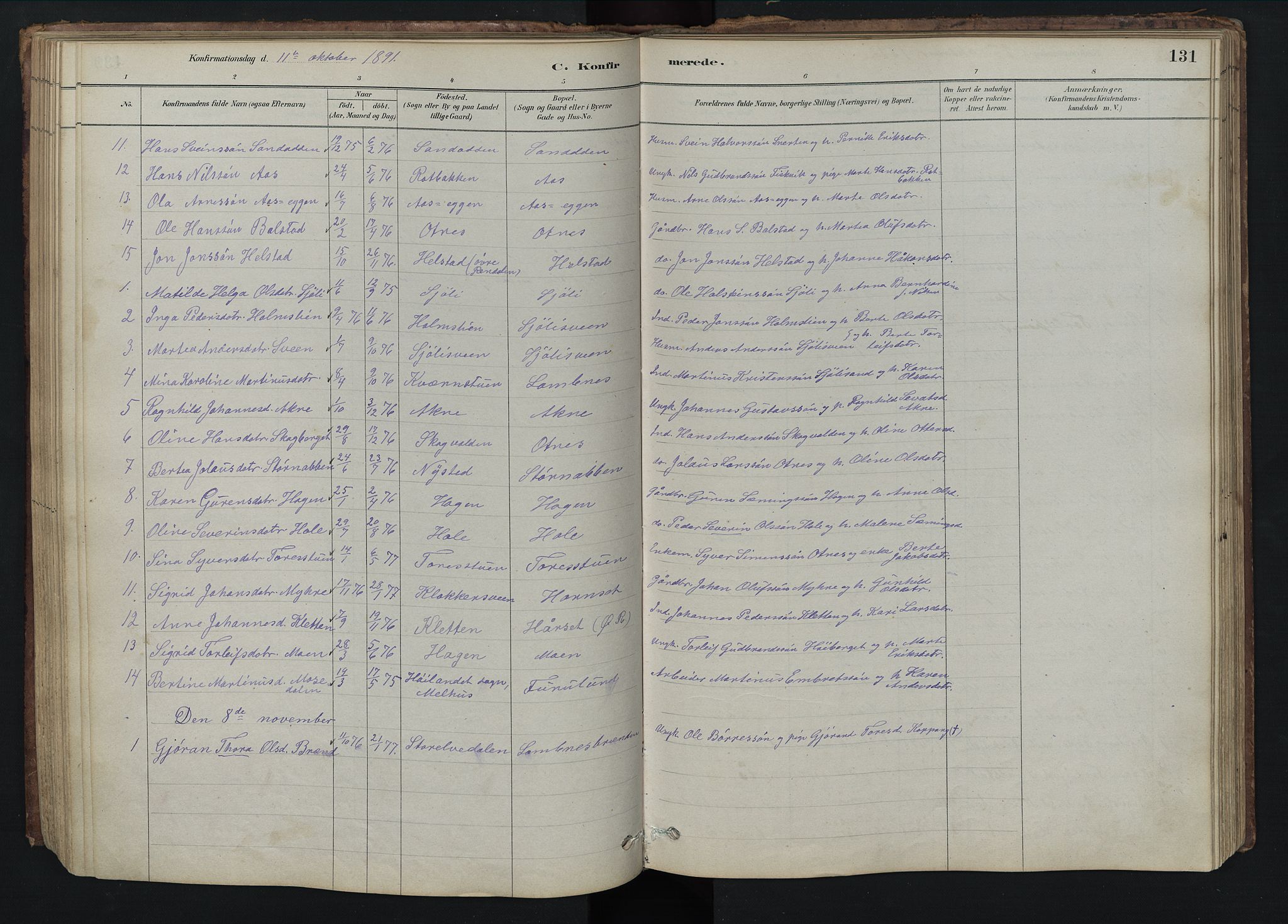 Rendalen prestekontor, SAH/PREST-054/H/Ha/Hab/L0009: Parish register (copy) no. 9, 1879-1902, p. 131