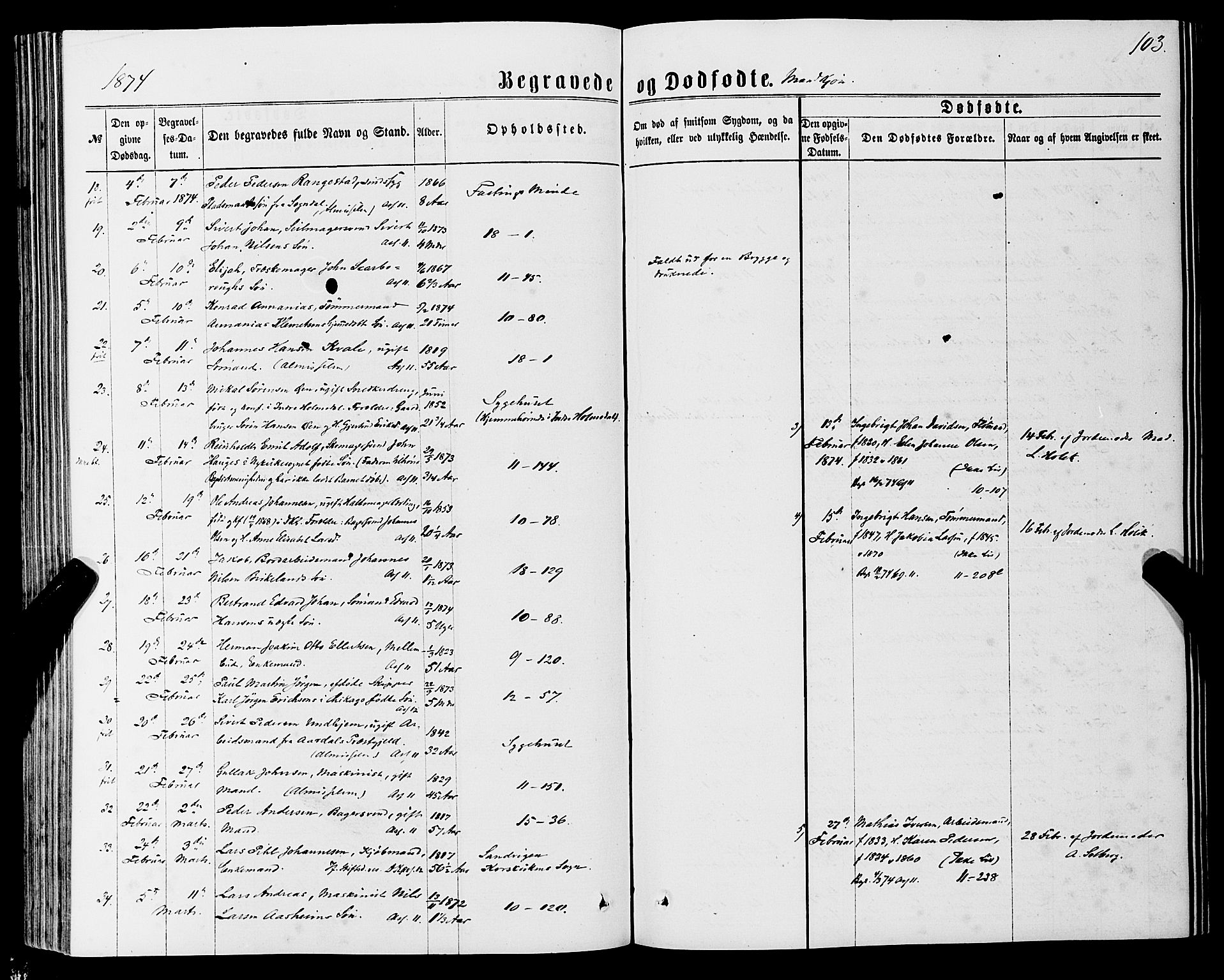 Domkirken sokneprestembete, AV/SAB-A-74801/H/Haa/L0042: Parish register (official) no. E 3, 1863-1876, p. 103