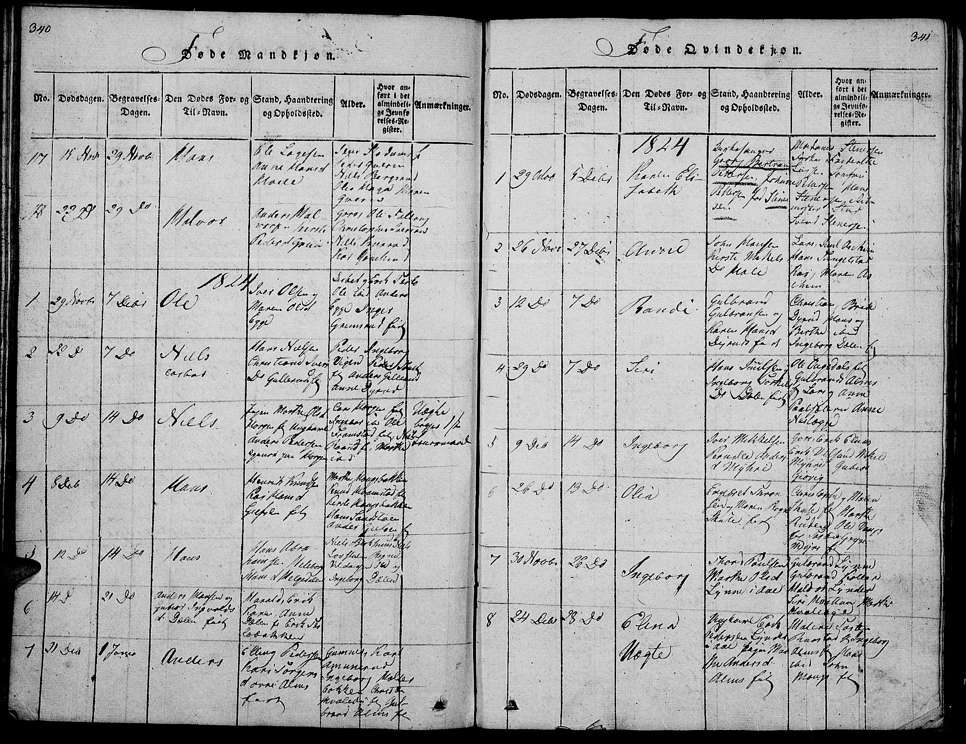 Gran prestekontor, SAH/PREST-112/H/Ha/Hab/L0001: Parish register (copy) no. 1, 1815-1824, p. 340-341