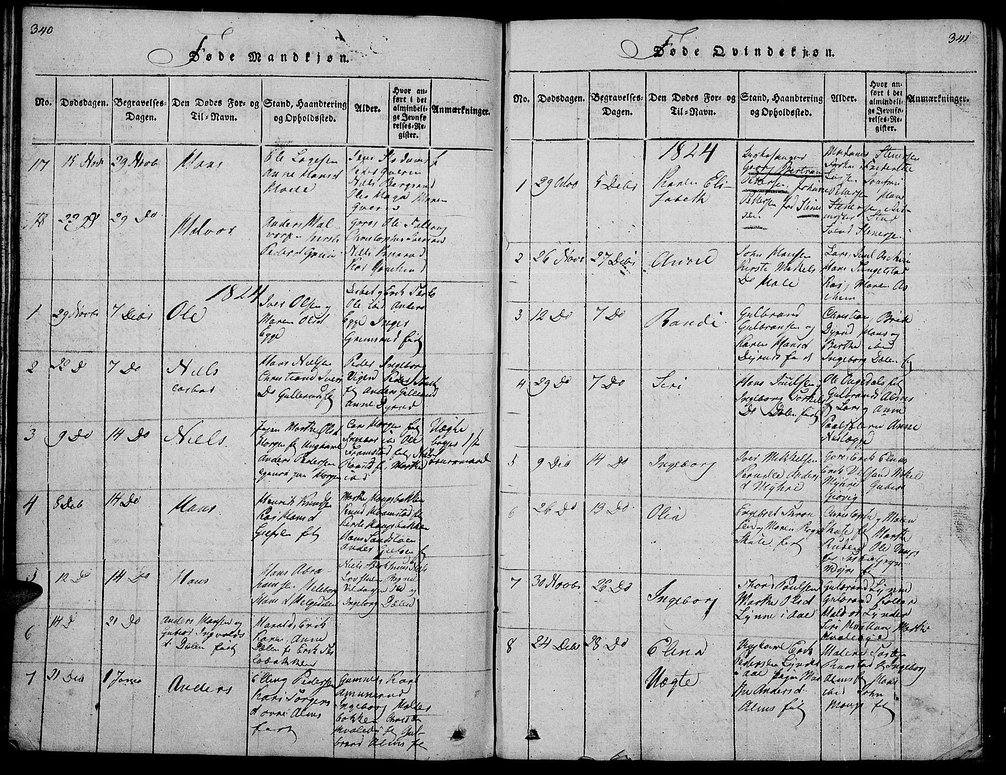 Gran prestekontor, AV/SAH-PREST-112/H/Ha/Hab/L0001: Parish register (copy) no. 1, 1815-1824, p. 340-341