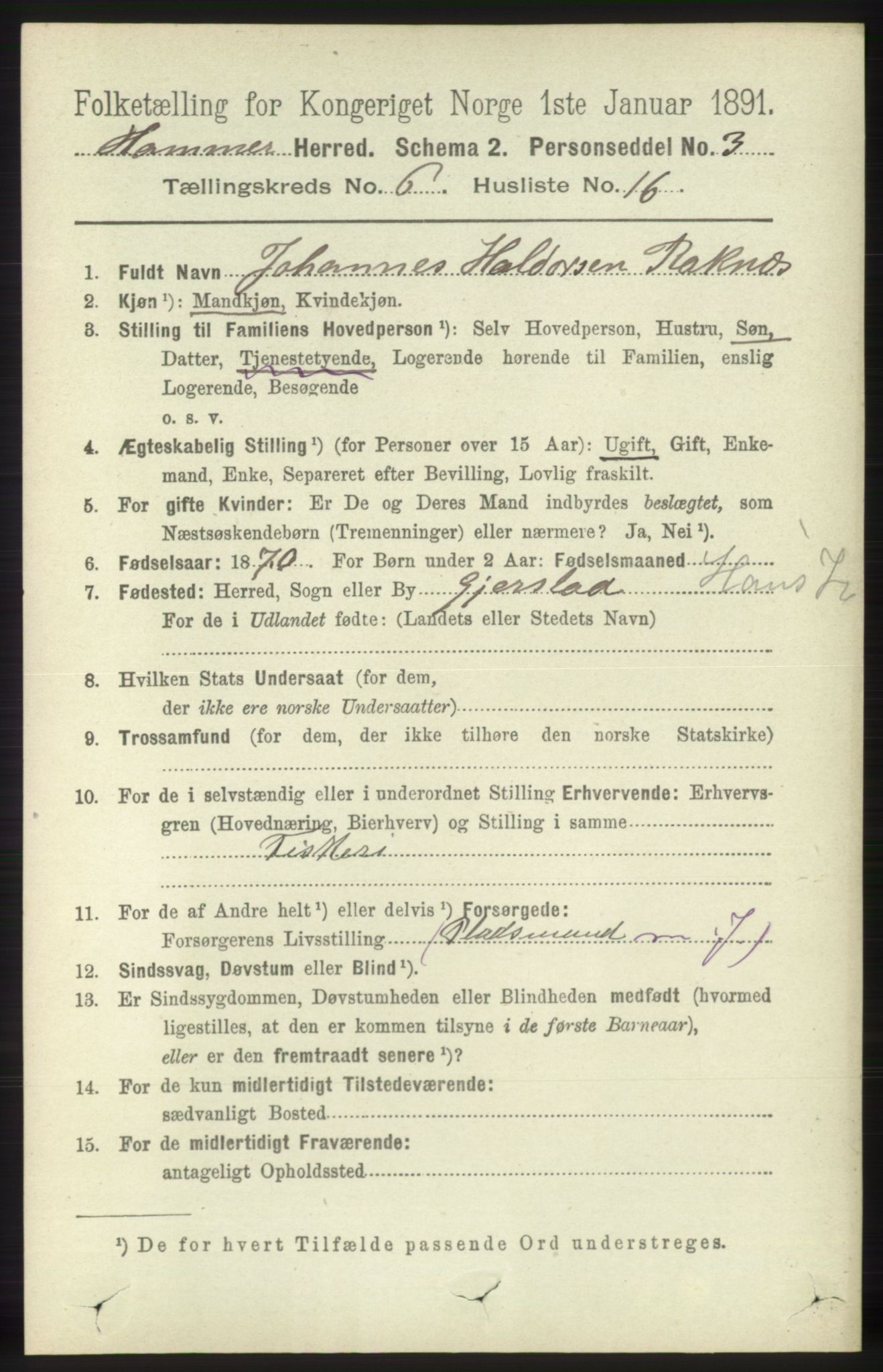 RA, 1891 census for 1254 Hamre, 1891, p. 1638