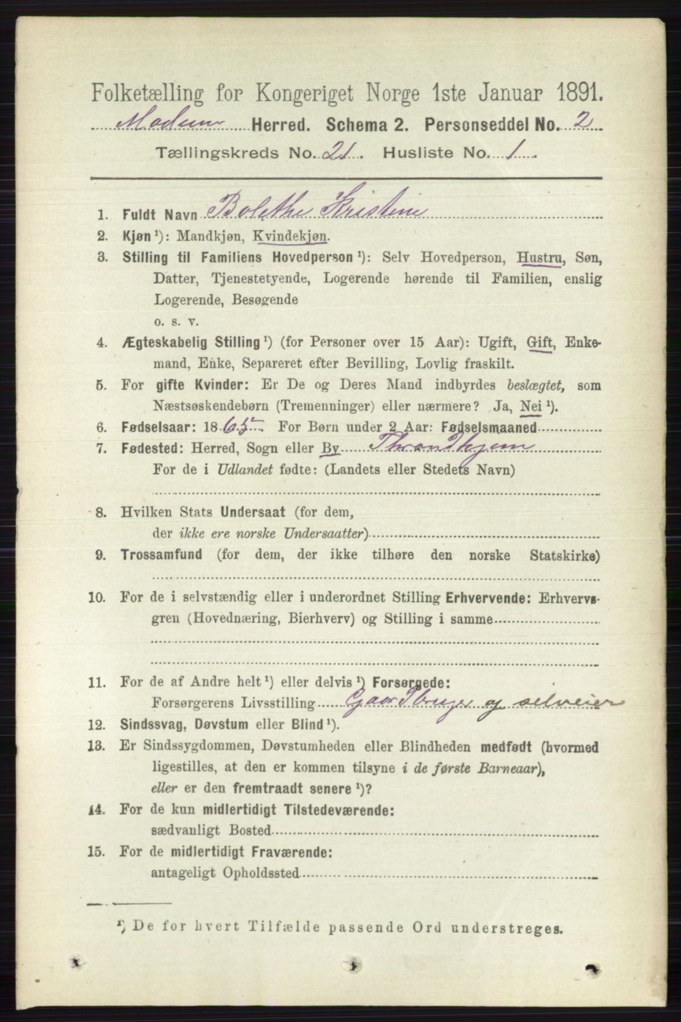 RA, 1891 census for 0623 Modum, 1891, p. 8104