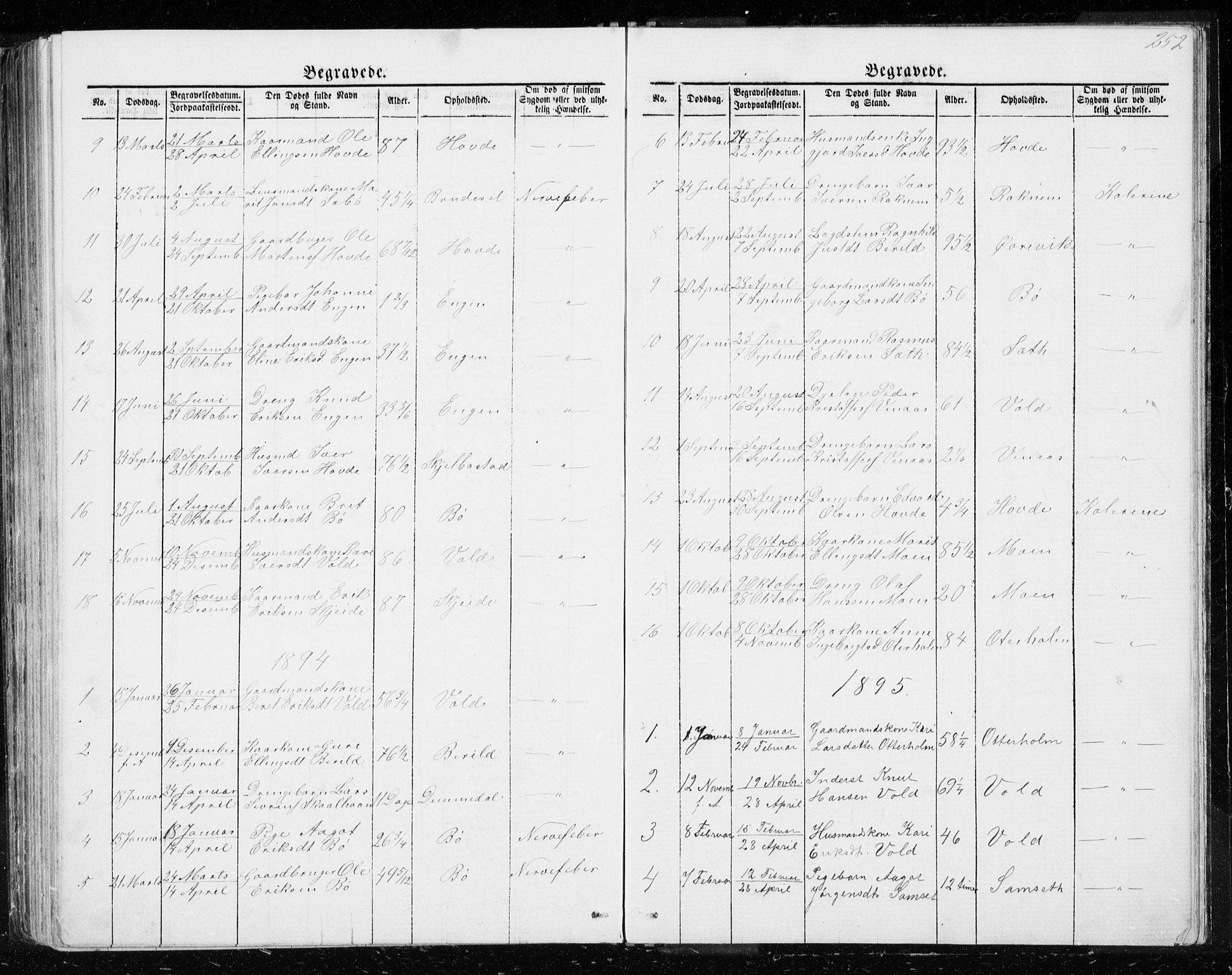 Ministerialprotokoller, klokkerbøker og fødselsregistre - Møre og Romsdal, SAT/A-1454/543/L0564: Parish register (copy) no. 543C02, 1867-1915, p. 252