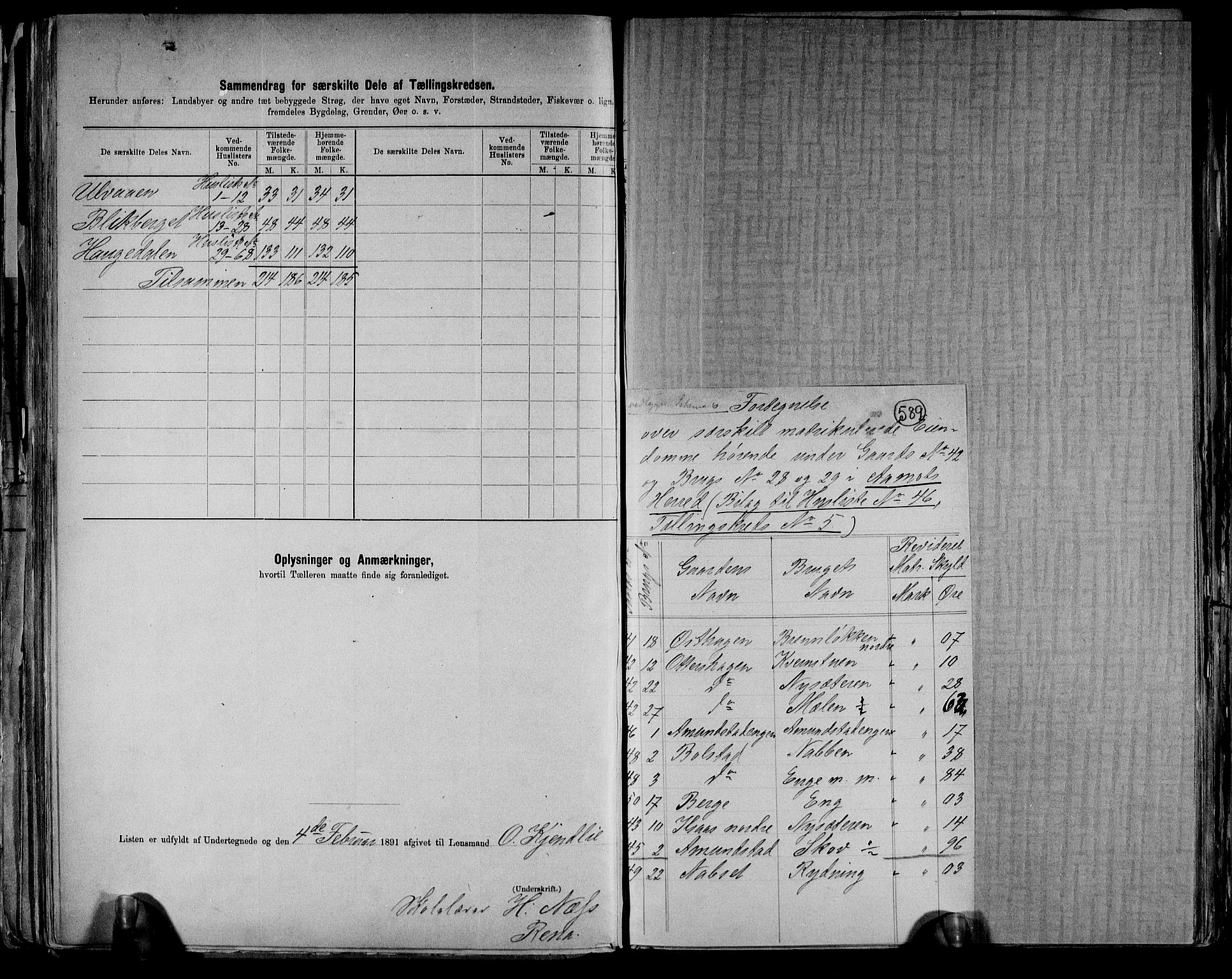 RA, 1891 census for 0429 Åmot, 1891, p. 18