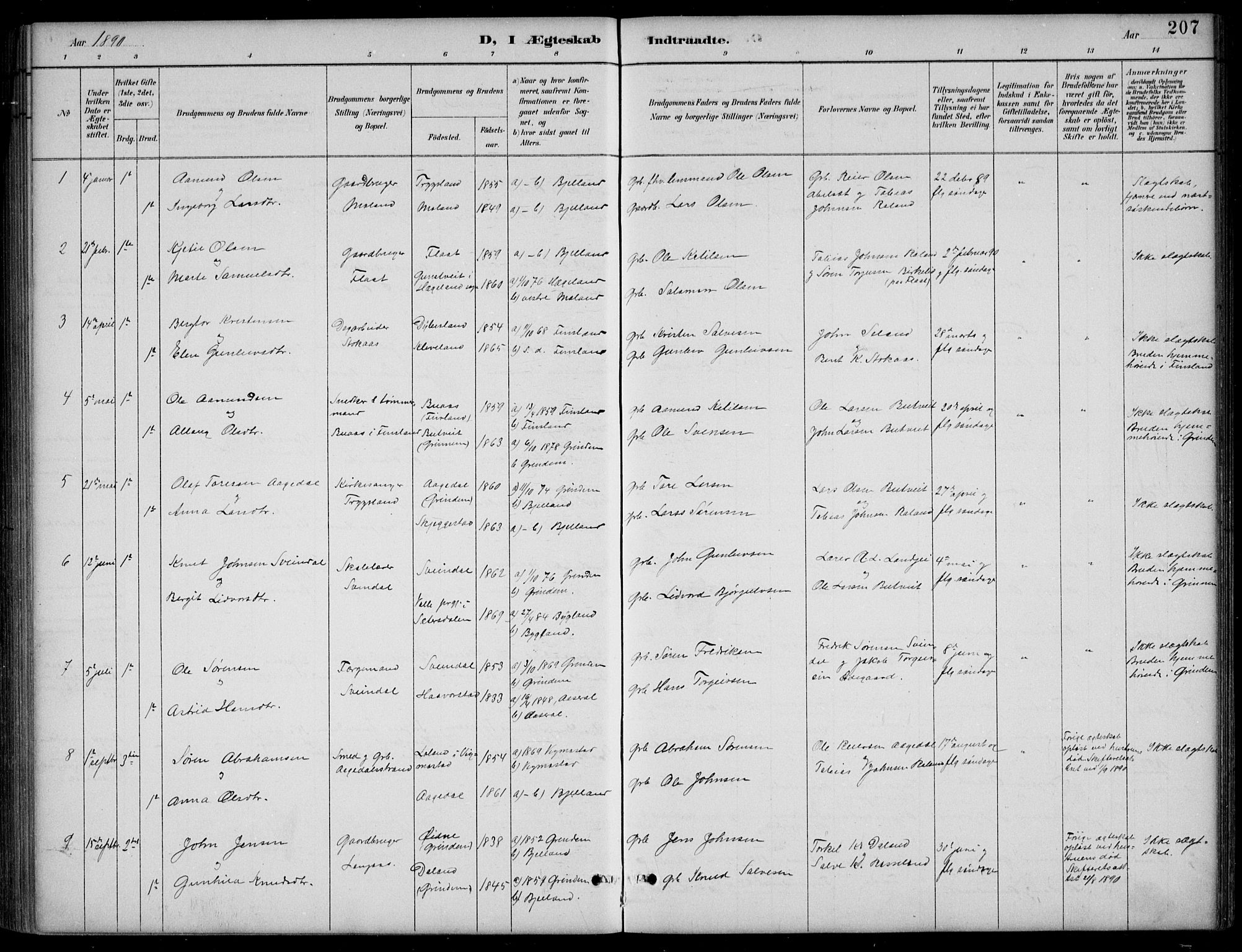 Bjelland sokneprestkontor, SAK/1111-0005/F/Fb/Fba/L0005: Parish register (copy) no. B 5, 1887-1923, p. 207