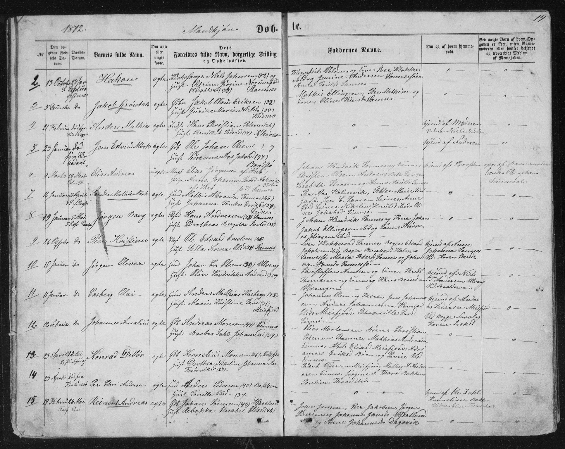 Ministerialprotokoller, klokkerbøker og fødselsregistre - Nordland, AV/SAT-A-1459/831/L0476: Parish register (copy) no. 831C03, 1866-1877, p. 14