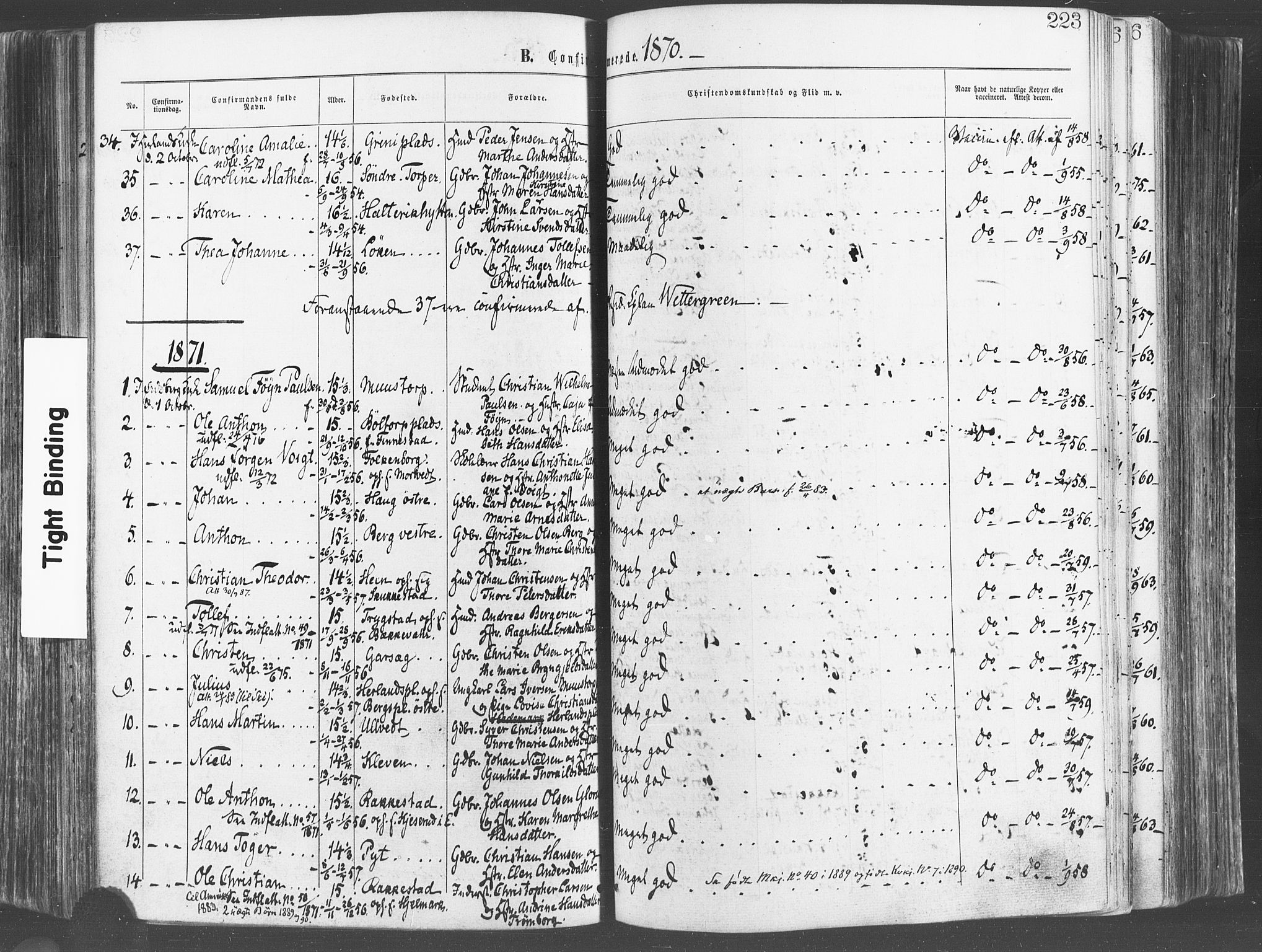 Eidsberg prestekontor Kirkebøker, SAO/A-10905/F/Fa/L0011: Parish register (official) no. I 11, 1867-1878, p. 223