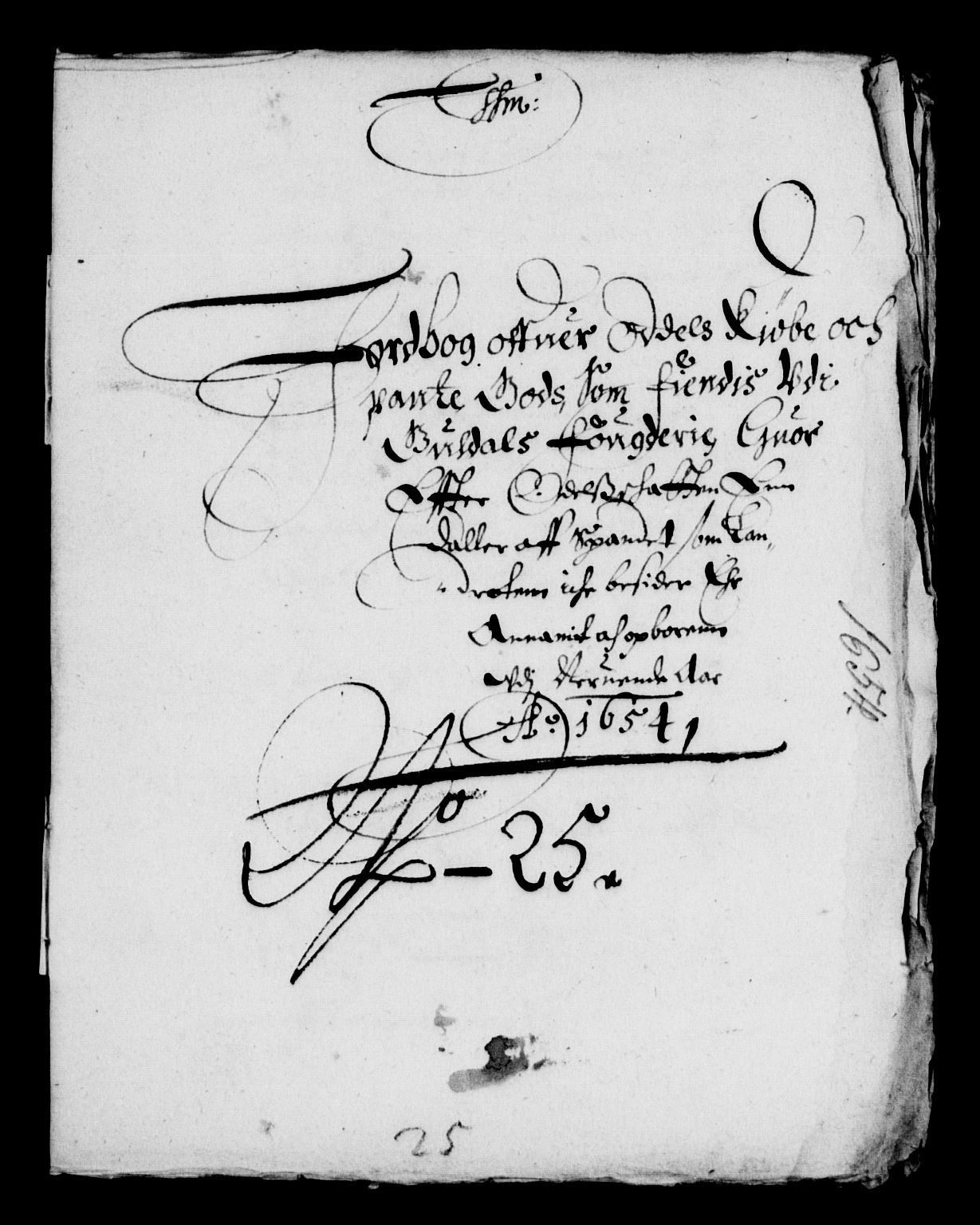 Rentekammeret inntil 1814, Reviderte regnskaper, Lensregnskaper, AV/RA-EA-5023/R/Rb/Rbw/L0118: Trondheim len, 1654-1655