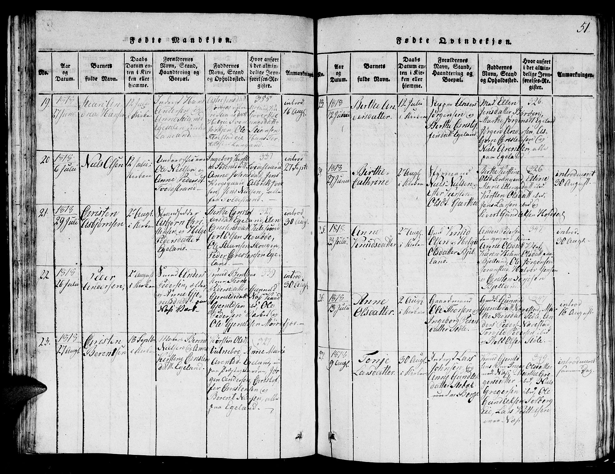 Holt sokneprestkontor, SAK/1111-0021/F/Fb/L0006: Parish register (copy) no. B 6, 1813-1823, p. 51