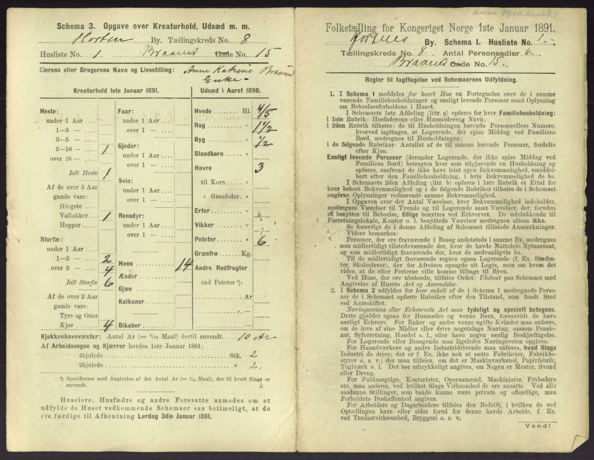 RA, 1891 census for 0703 Horten, 1891, p. 823