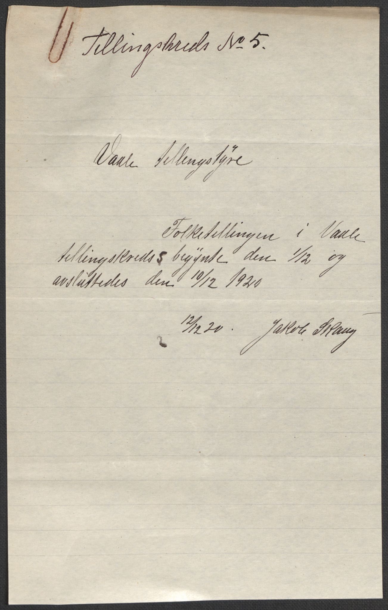 SAKO, 1920 census for Våle, 1920, p. 28