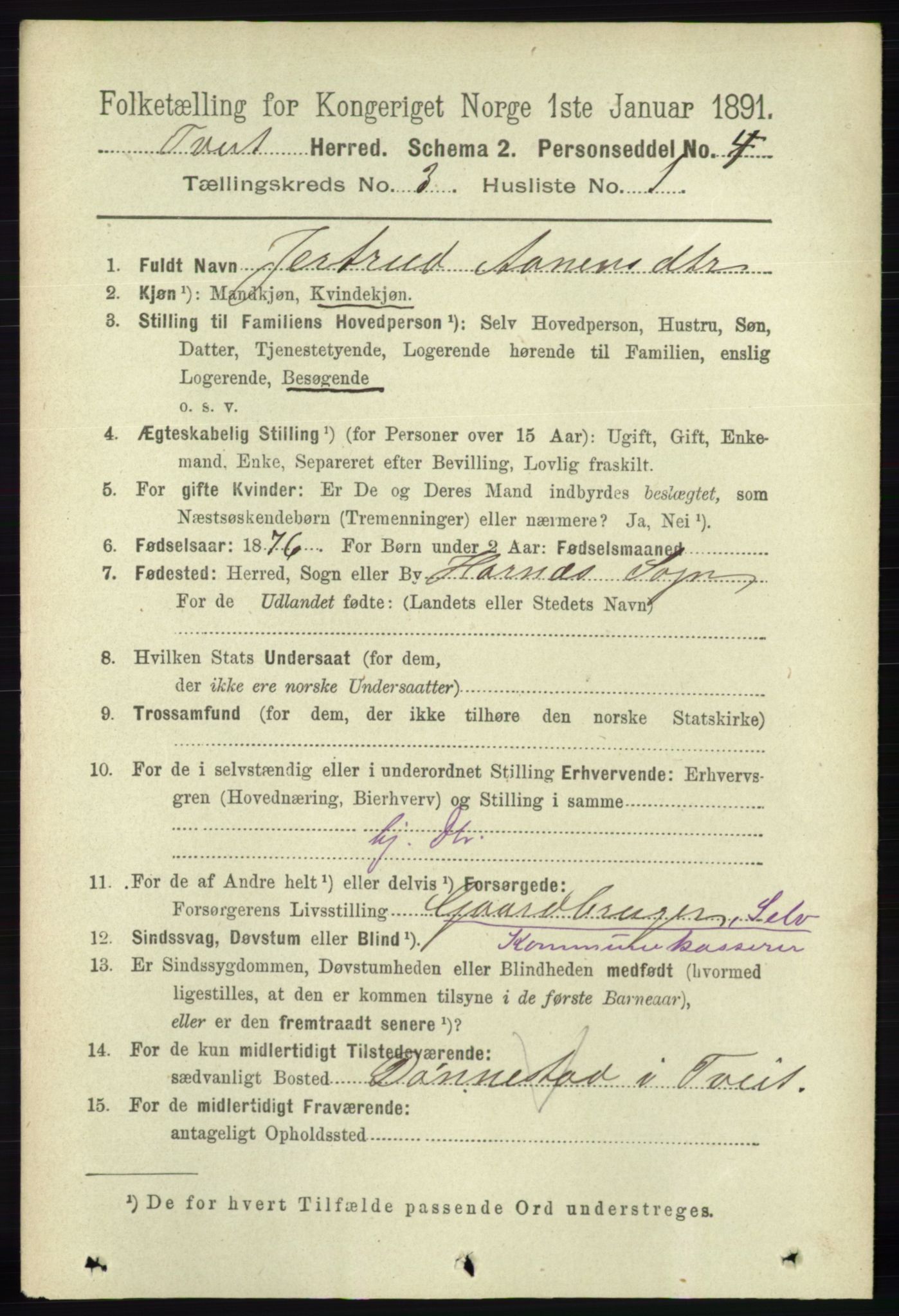 RA, 1891 census for 1013 Tveit, 1891, p. 1184