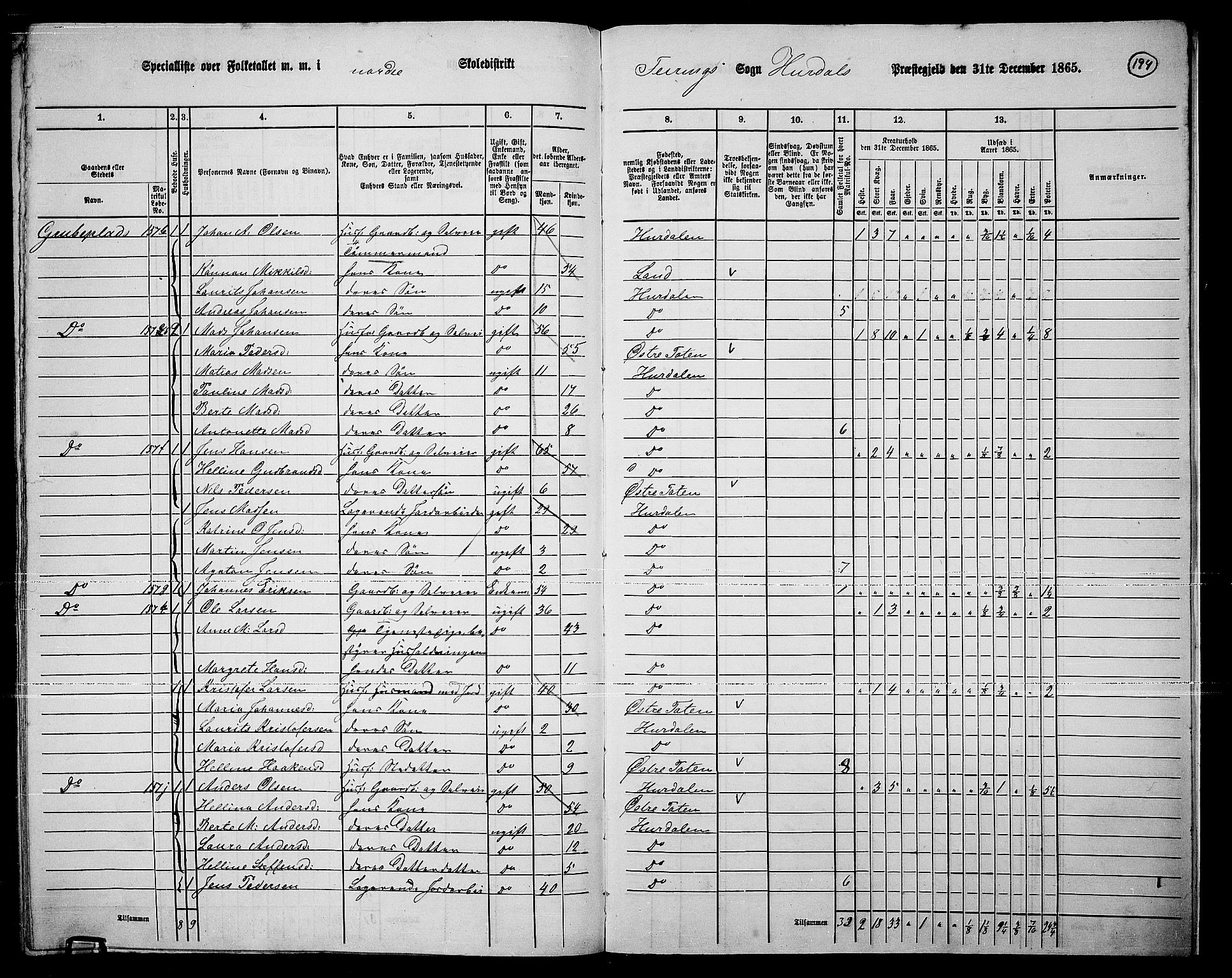 RA, 1865 census for Hurdal, 1865, p. 164