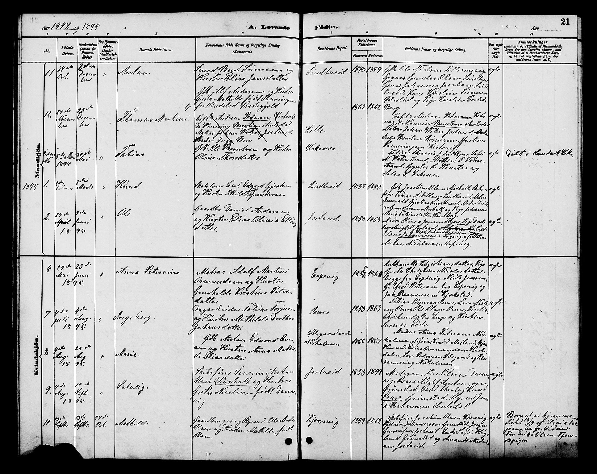 Hommedal sokneprestkontor, AV/SAK-1111-0023/F/Fb/Fba/L0004: Parish register (copy) no. B 4, 1885-1908, p. 21