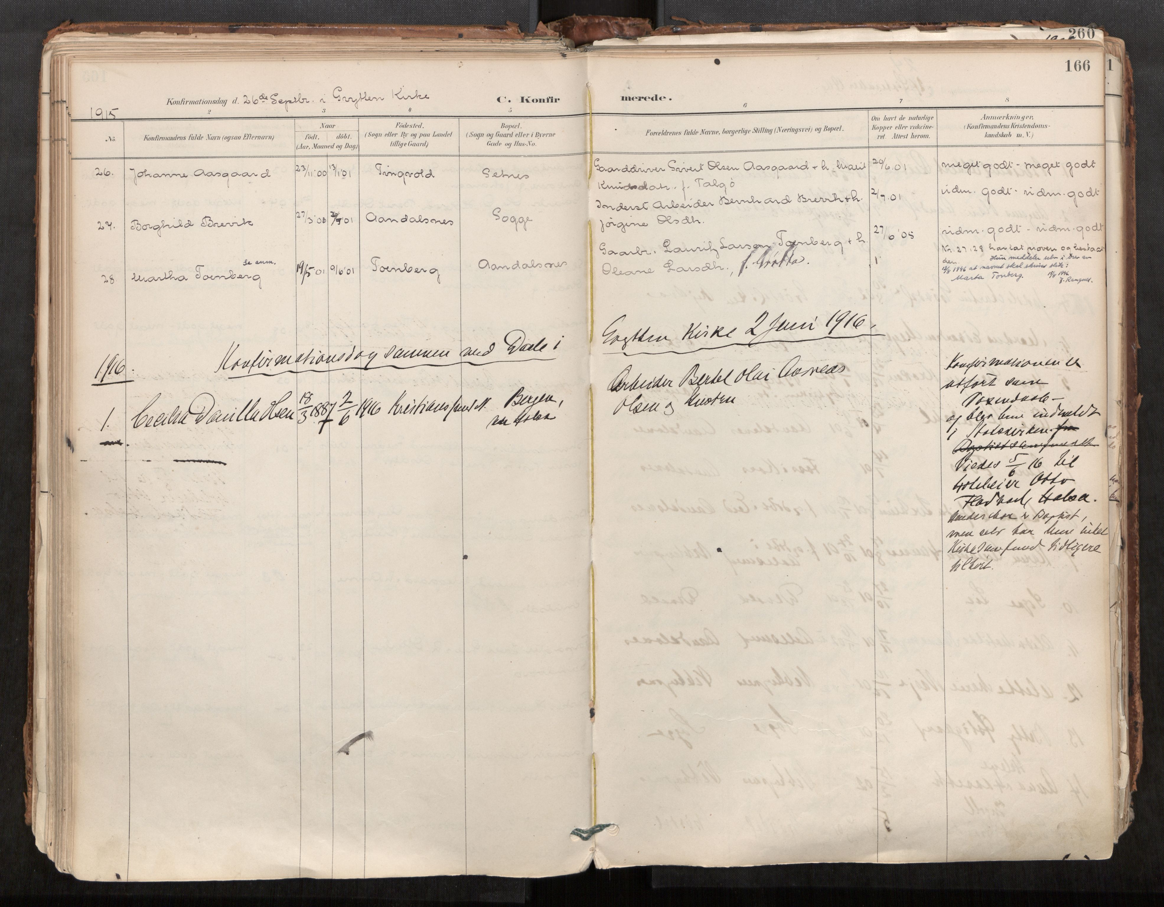 Ministerialprotokoller, klokkerbøker og fødselsregistre - Møre og Romsdal, AV/SAT-A-1454/544/L0585: Parish register (official) no. 544A06, 1887-1924, p. 166