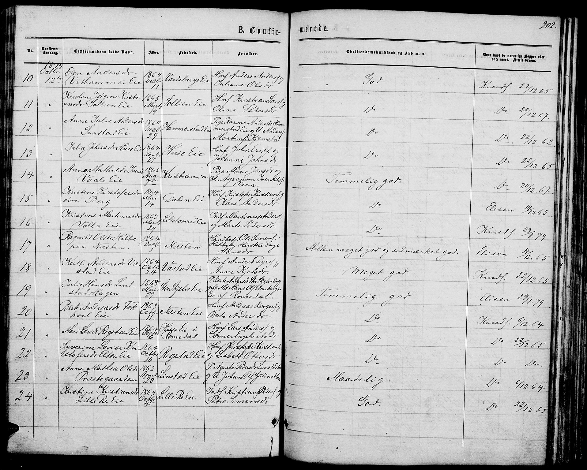 Stange prestekontor, AV/SAH-PREST-002/L/L0006: Parish register (copy) no. 6, 1864-1882, p. 202