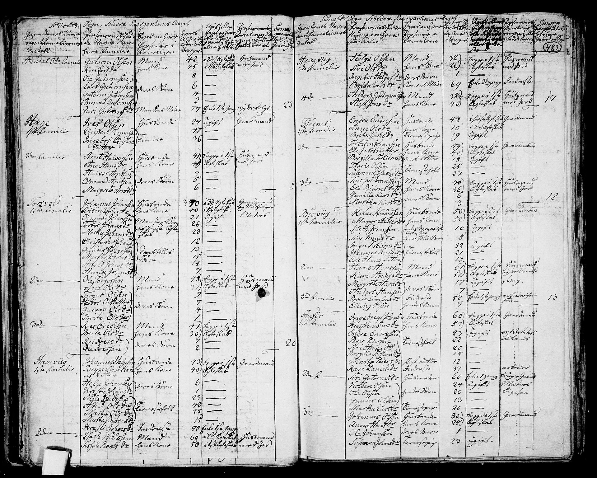 RA, 1801 census for 1154P Skjold, 1801, p. 481b-482a