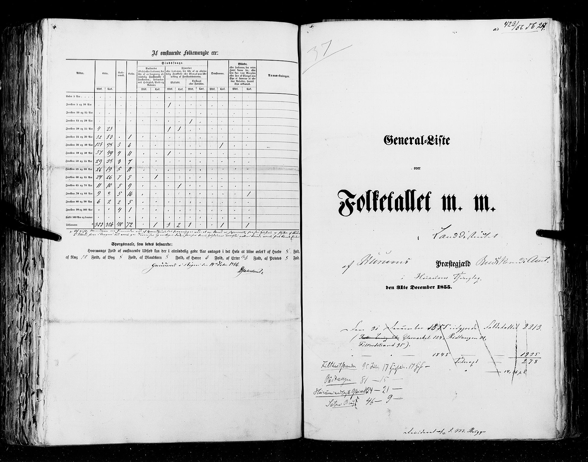 RA, Census 1855, vol. 2: Kristians amt, Buskerud amt og Jarlsberg og Larvik amt, 1855, p. 217