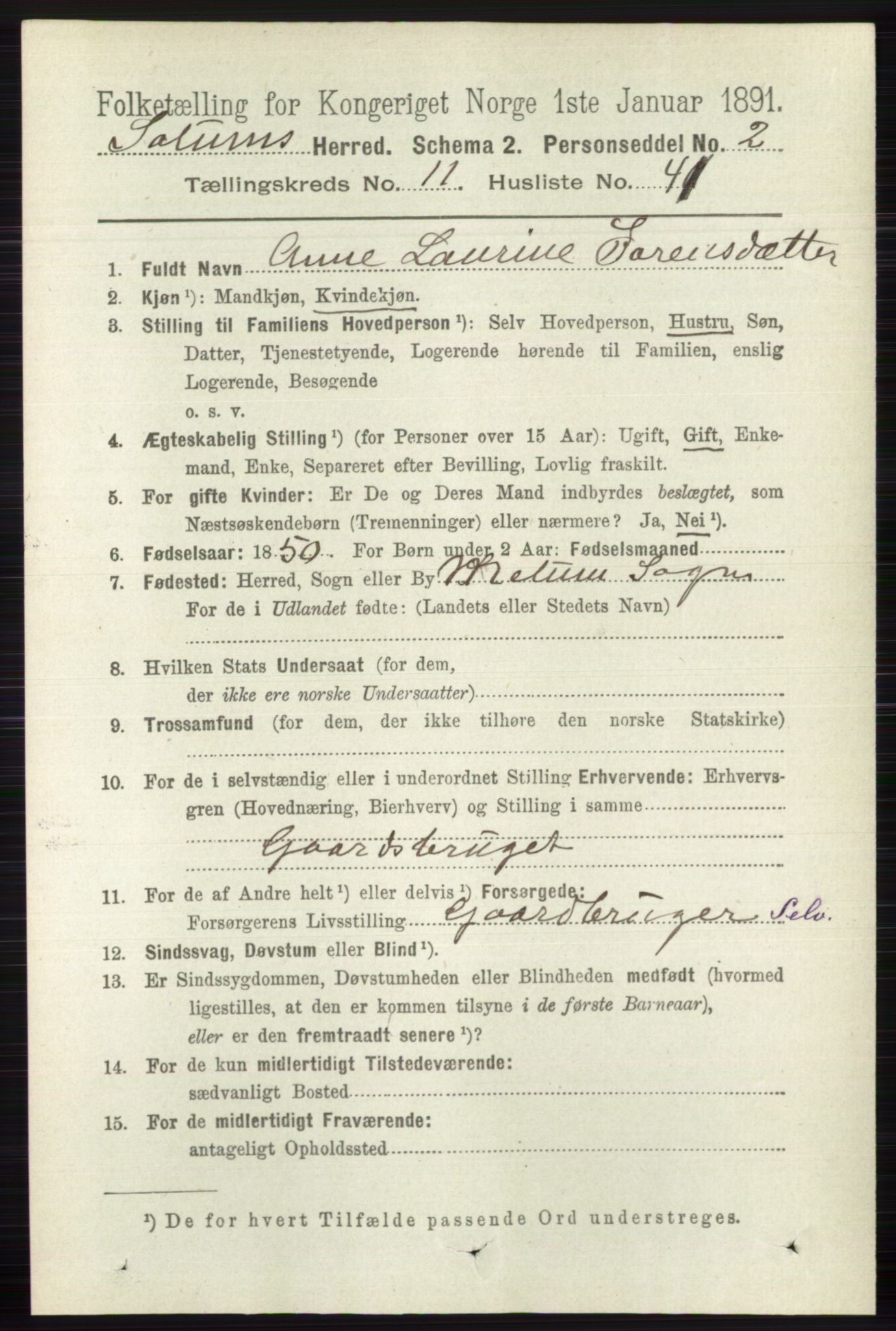 RA, 1891 census for 0818 Solum, 1891, p. 5519