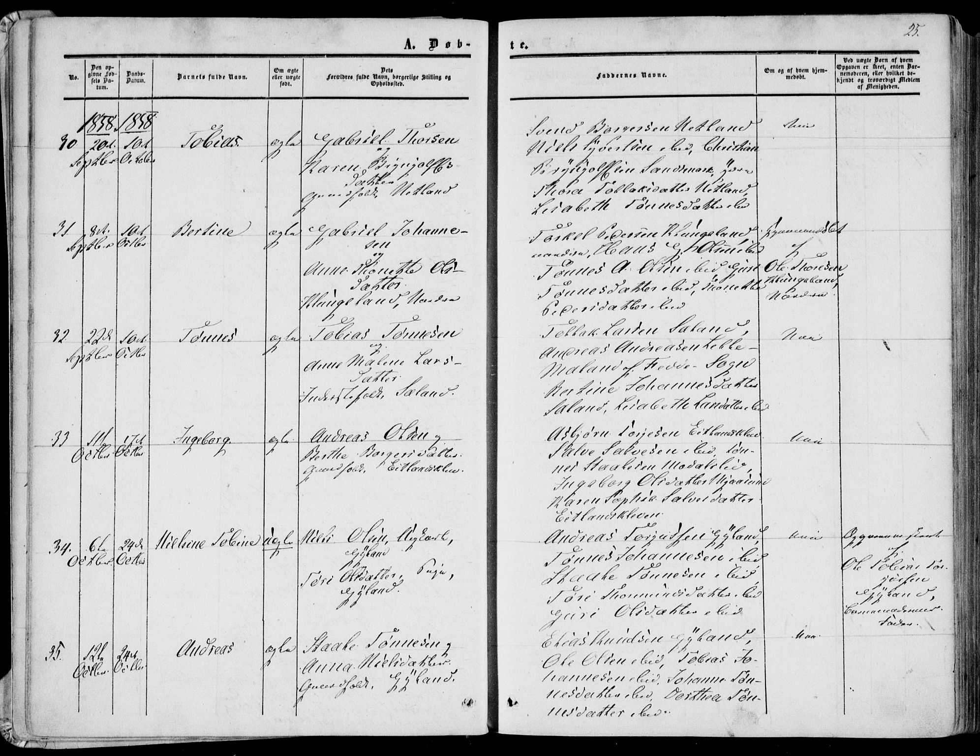 Bakke sokneprestkontor, AV/SAK-1111-0002/F/Fa/Fab/L0002: Parish register (official) no. A 2, 1855-1884, p. 25