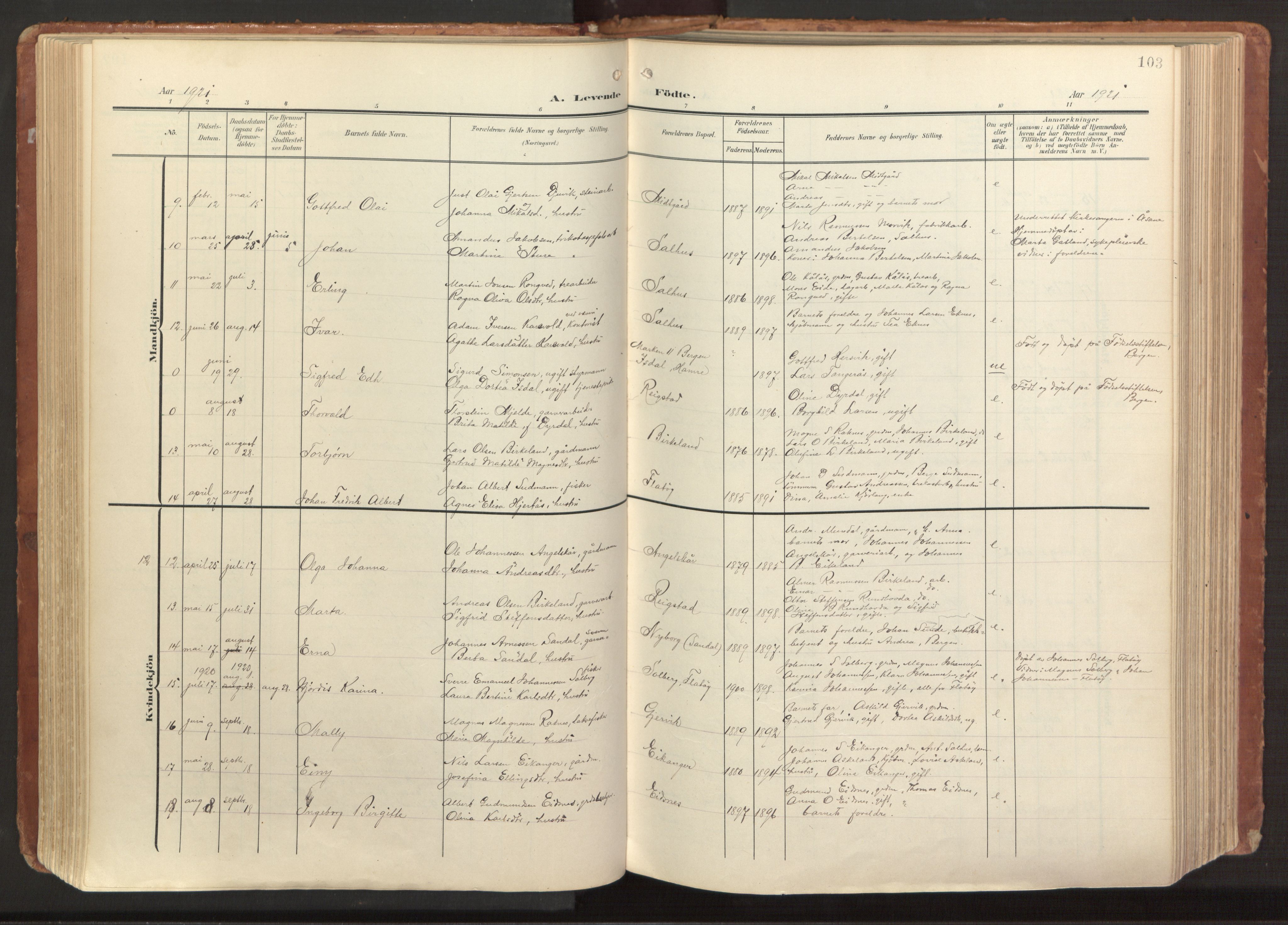 Hamre sokneprestembete, AV/SAB-A-75501/H/Ha/Haa/Haab/L0002: Parish register (official) no. B 2, 1905-1924, p. 103