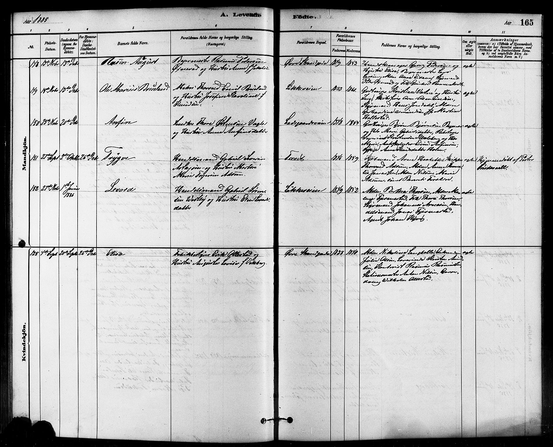 Domkirken sokneprestkontor, AV/SAST-A-101812/001/30/30BB/L0015: Parish register (copy) no. B 15, 1880-1891, p. 165